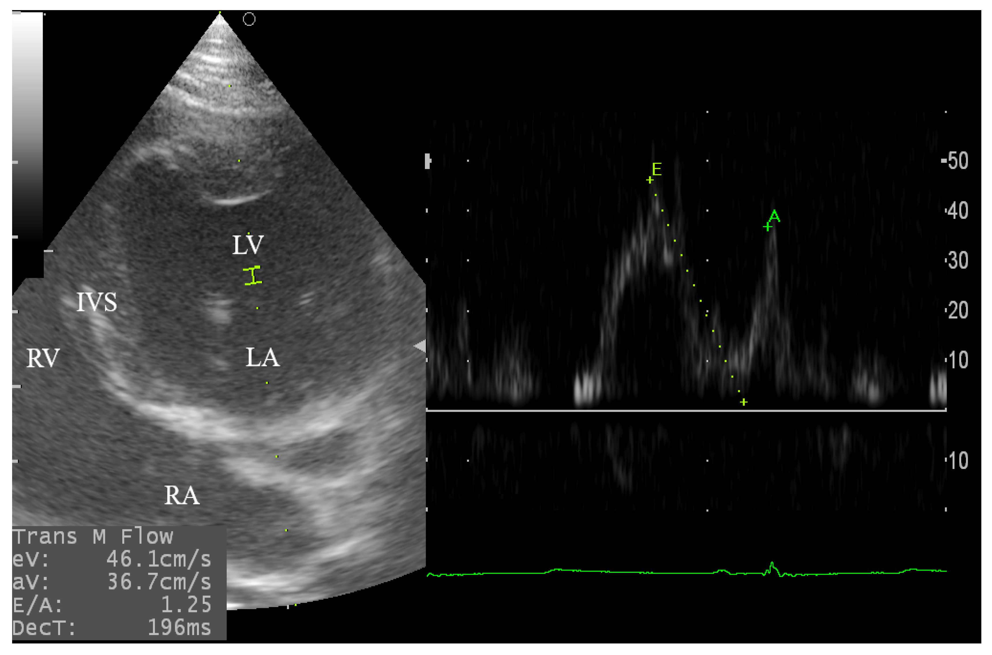 Animals 10 02320 g004 Animals 10 02320 g004