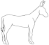 Animals 10 02335 i003 Animals 10 02335 i003