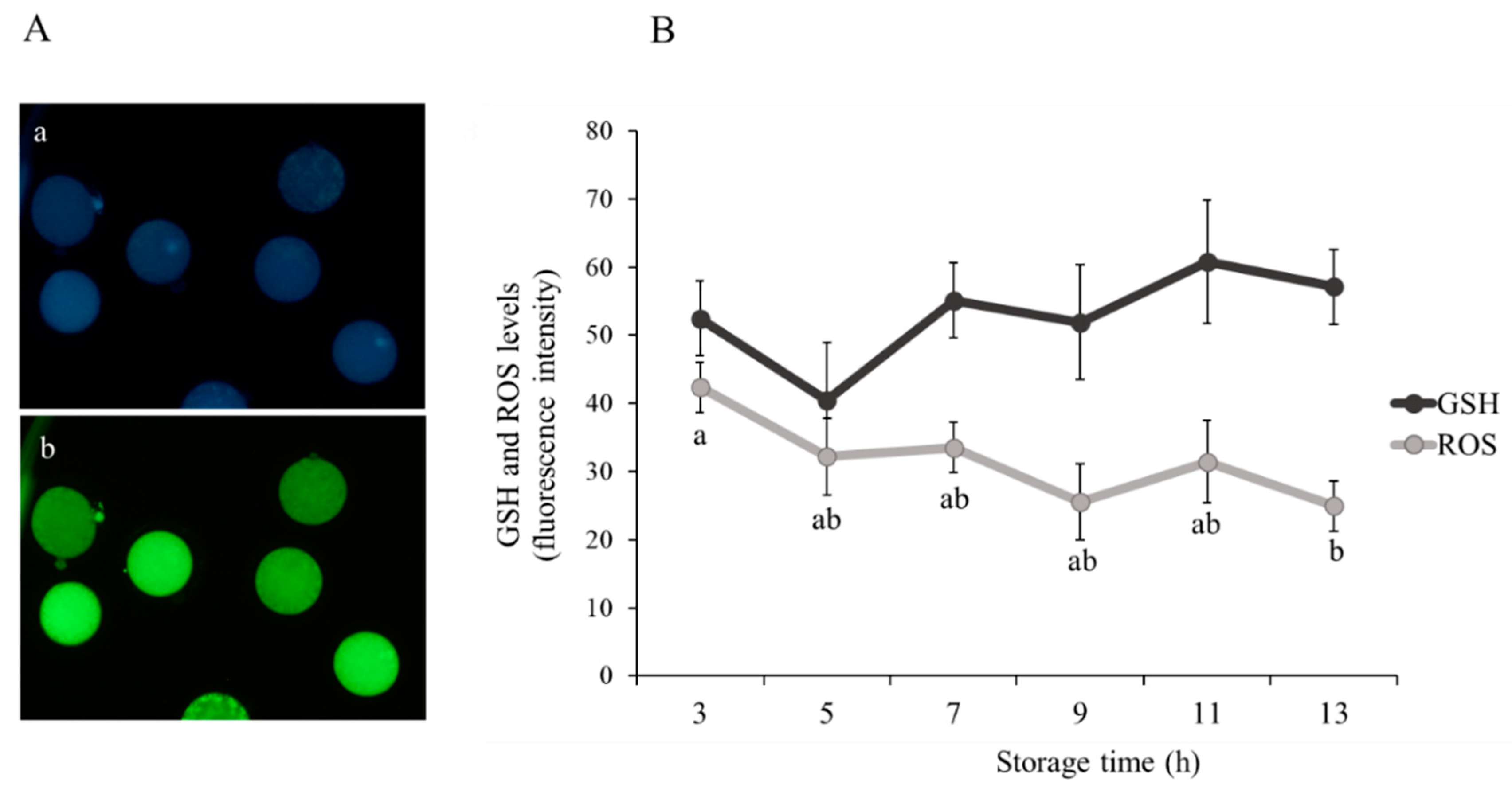 Animals 10 02414 g002 Animals 10 02414 g002