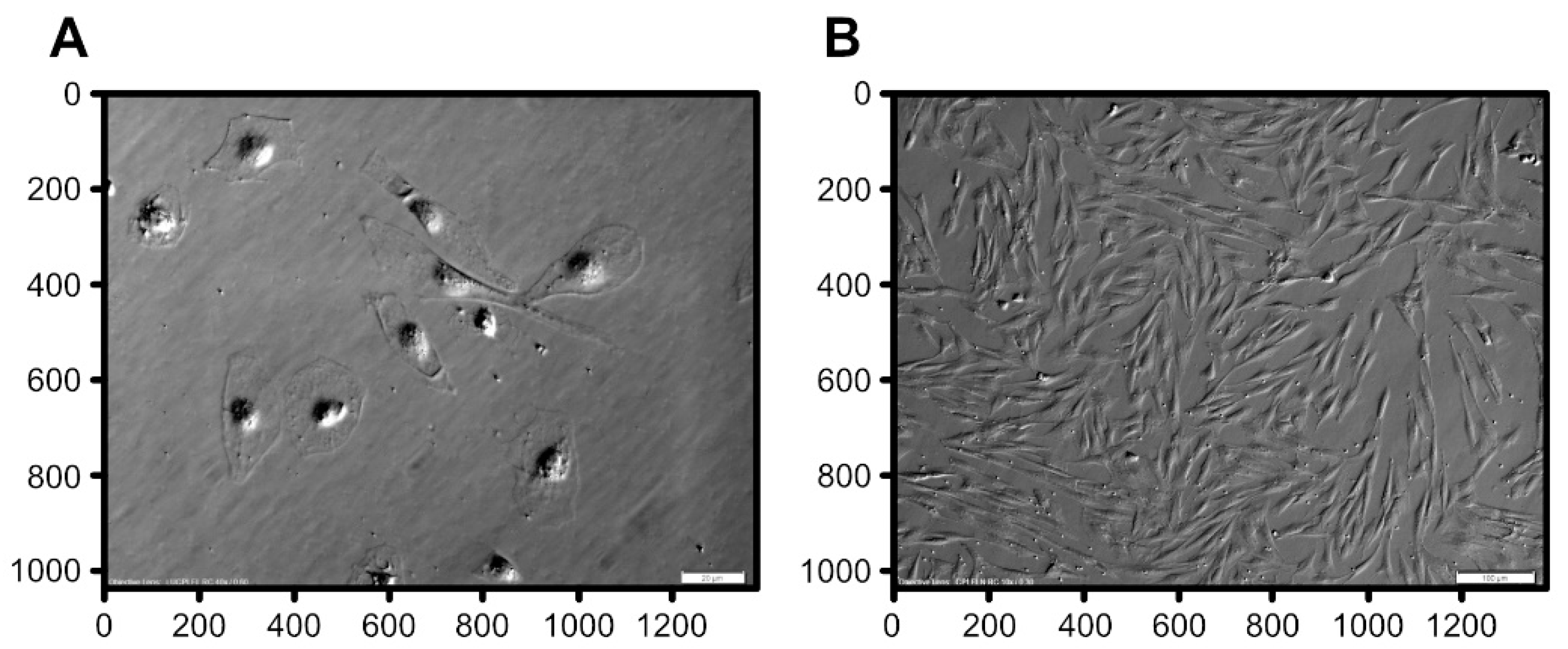 Animals 11 00015 g001