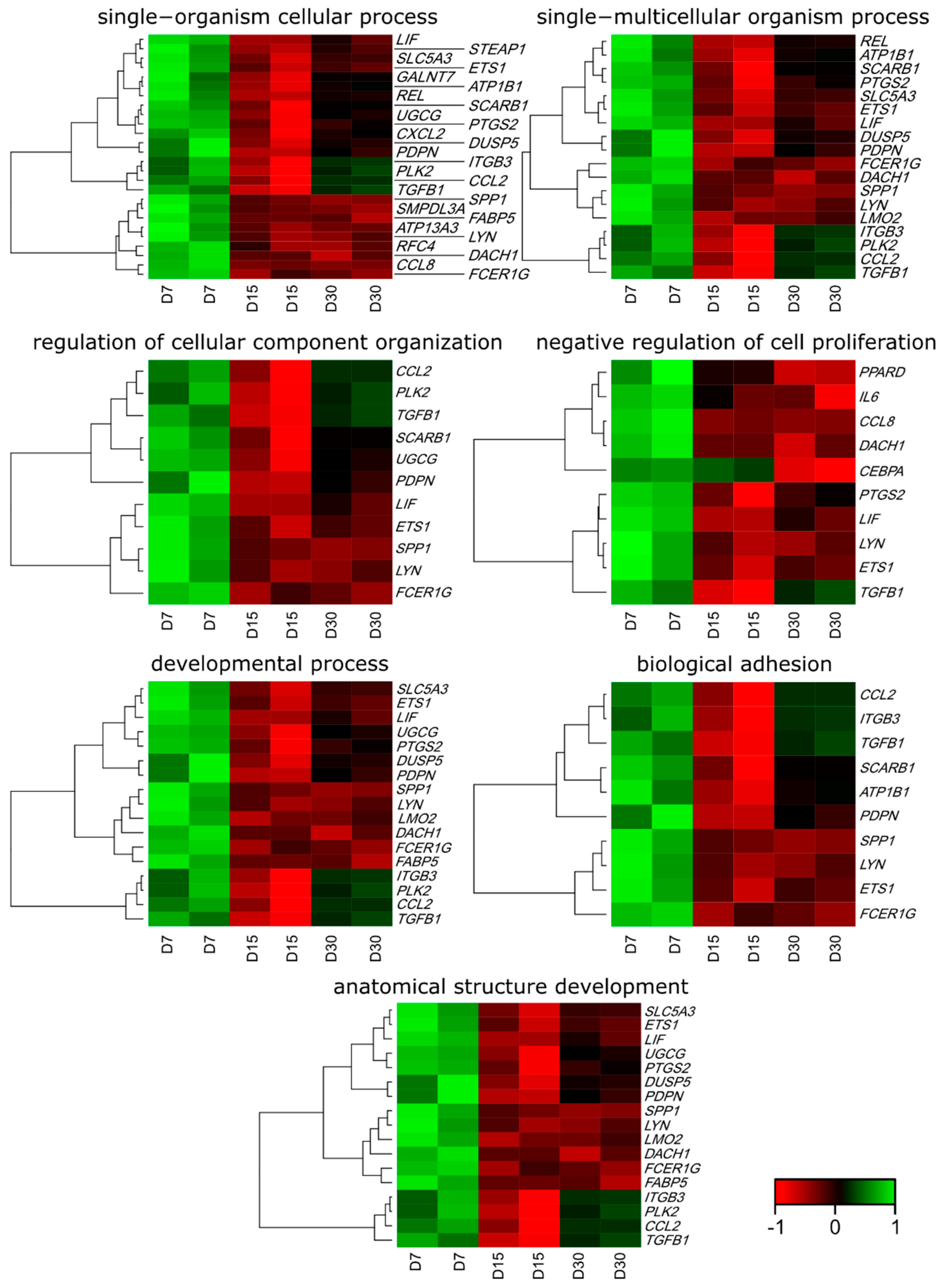 Animals 11 00015 g002