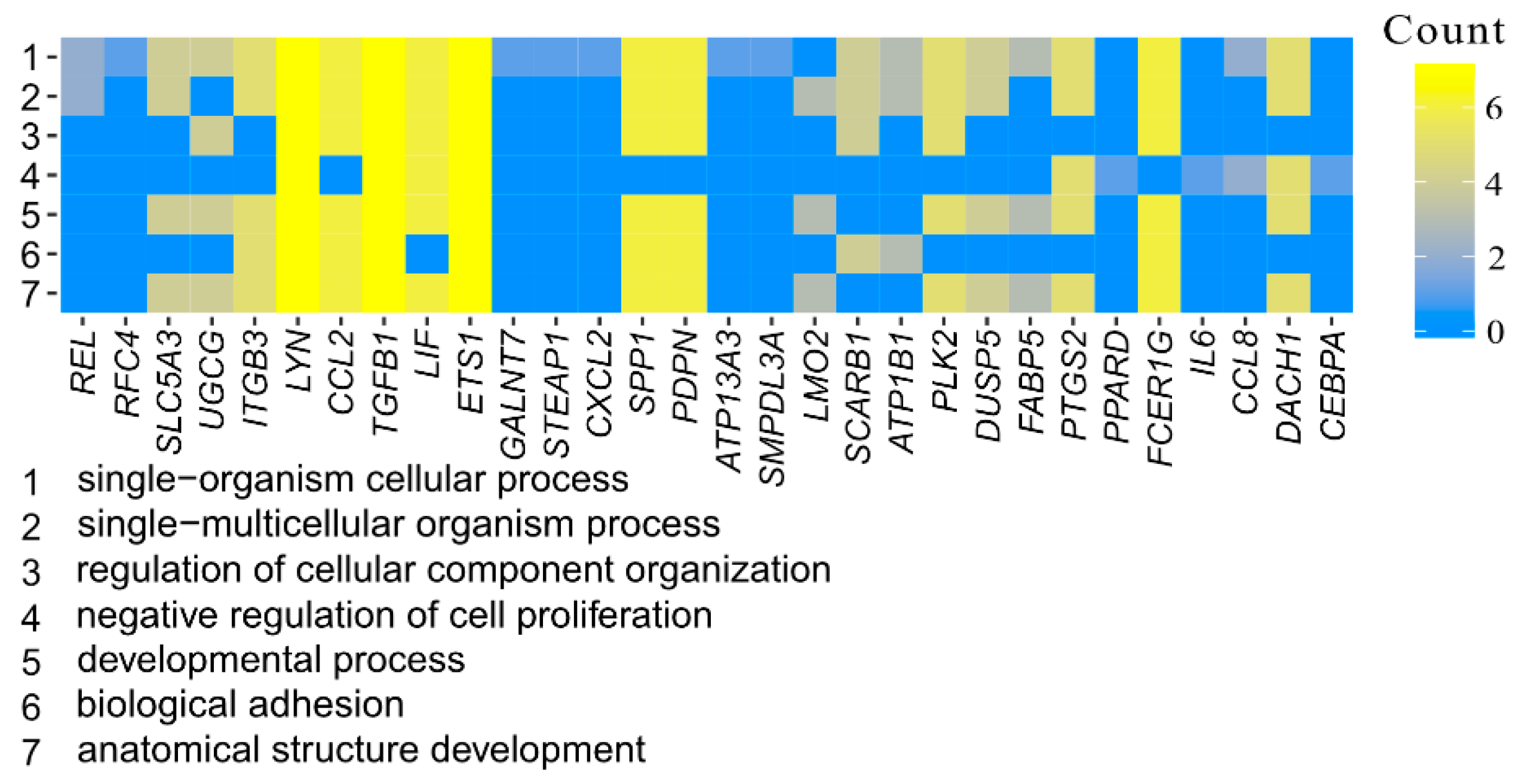 Animals 11 00015 g006