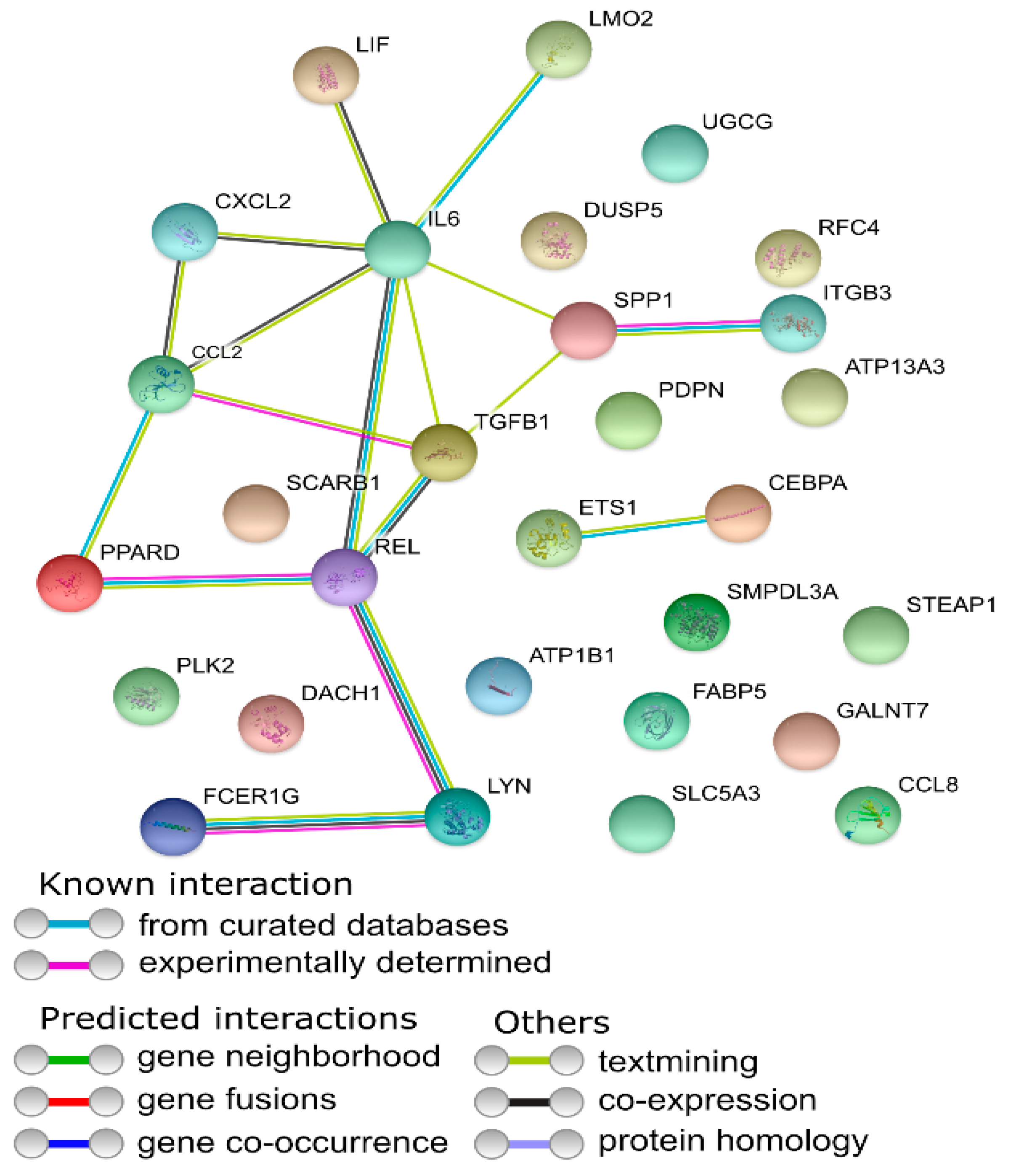Animals 11 00015 g007