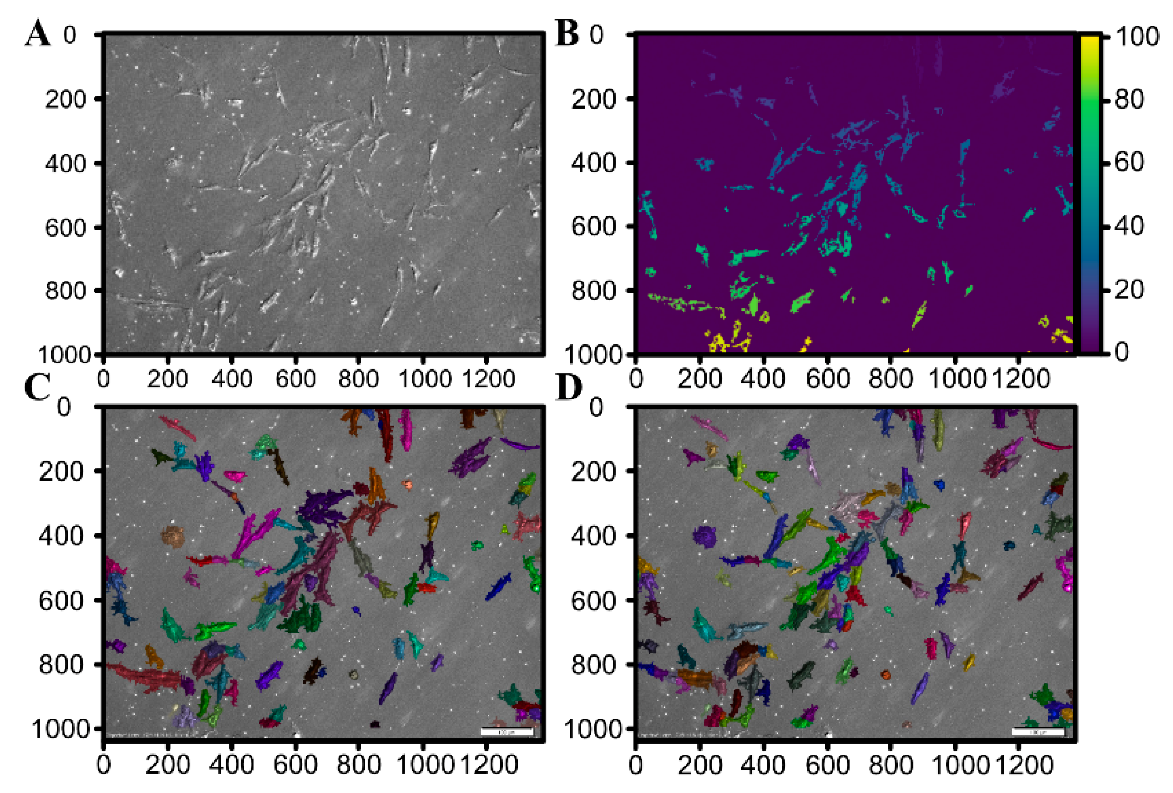 Animals 11 00015 g010