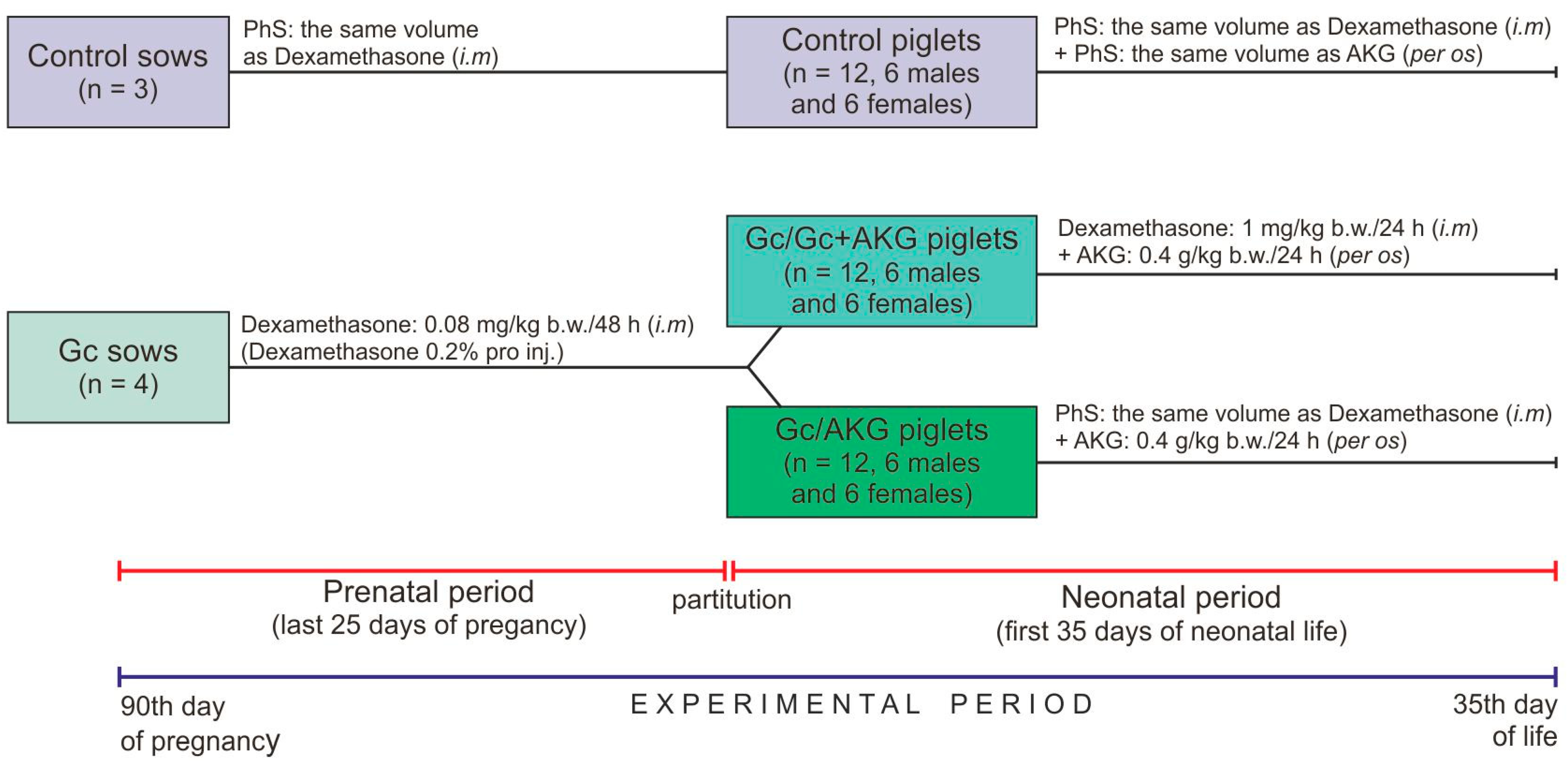 Animals Free Full Text The Protective Role Of Alpha Ketoglutaric Acid On The Growth And Bone Development Of Experimentally Induced Perinatal Growth Retarded Piglets Html