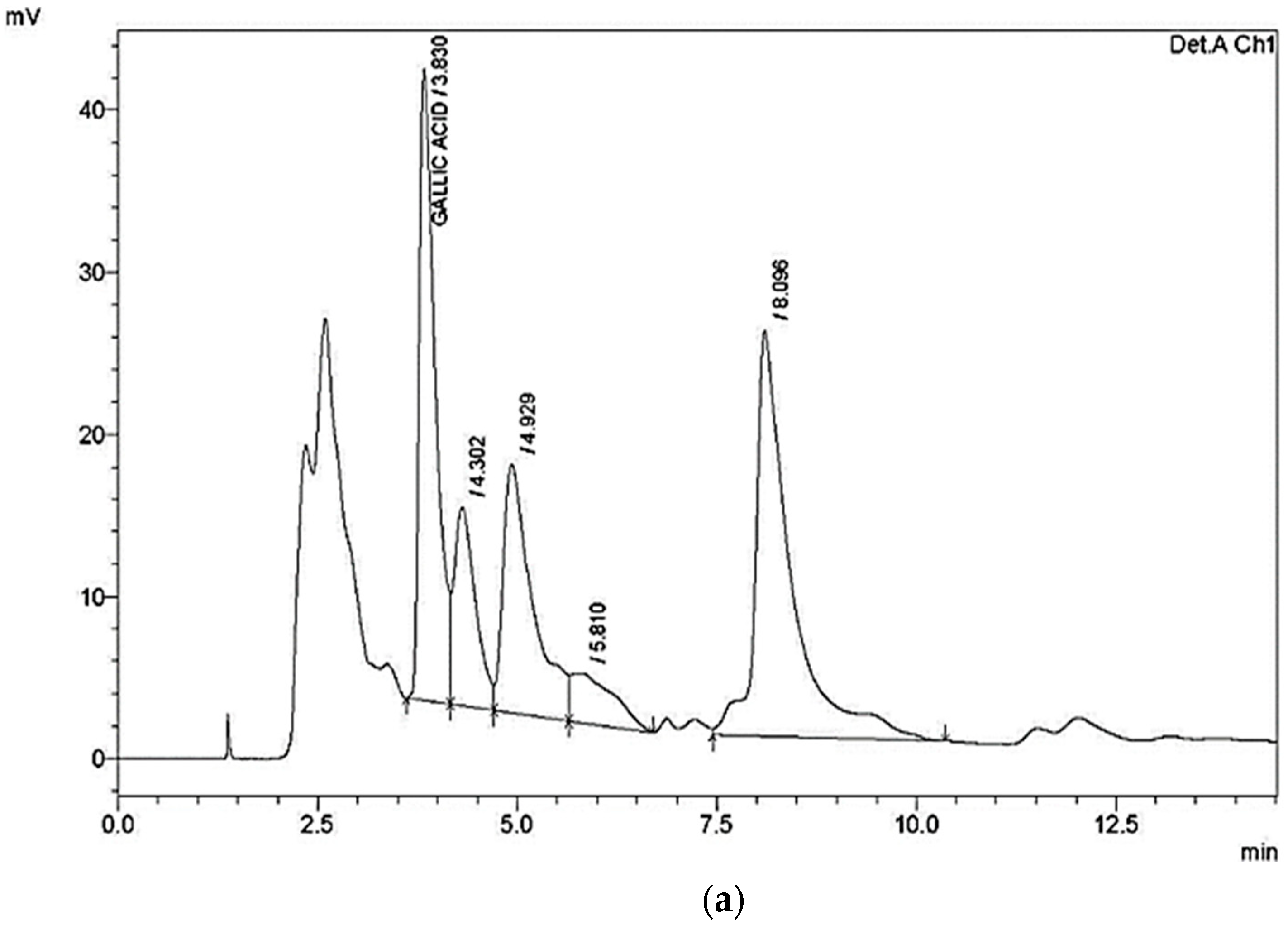 Animals Free Full Text Anti Coccidial Effect Of Rumex Nervosus Leaf Powder On Broiler Chickens Infected With Eimeria Tenella Oocyst Html