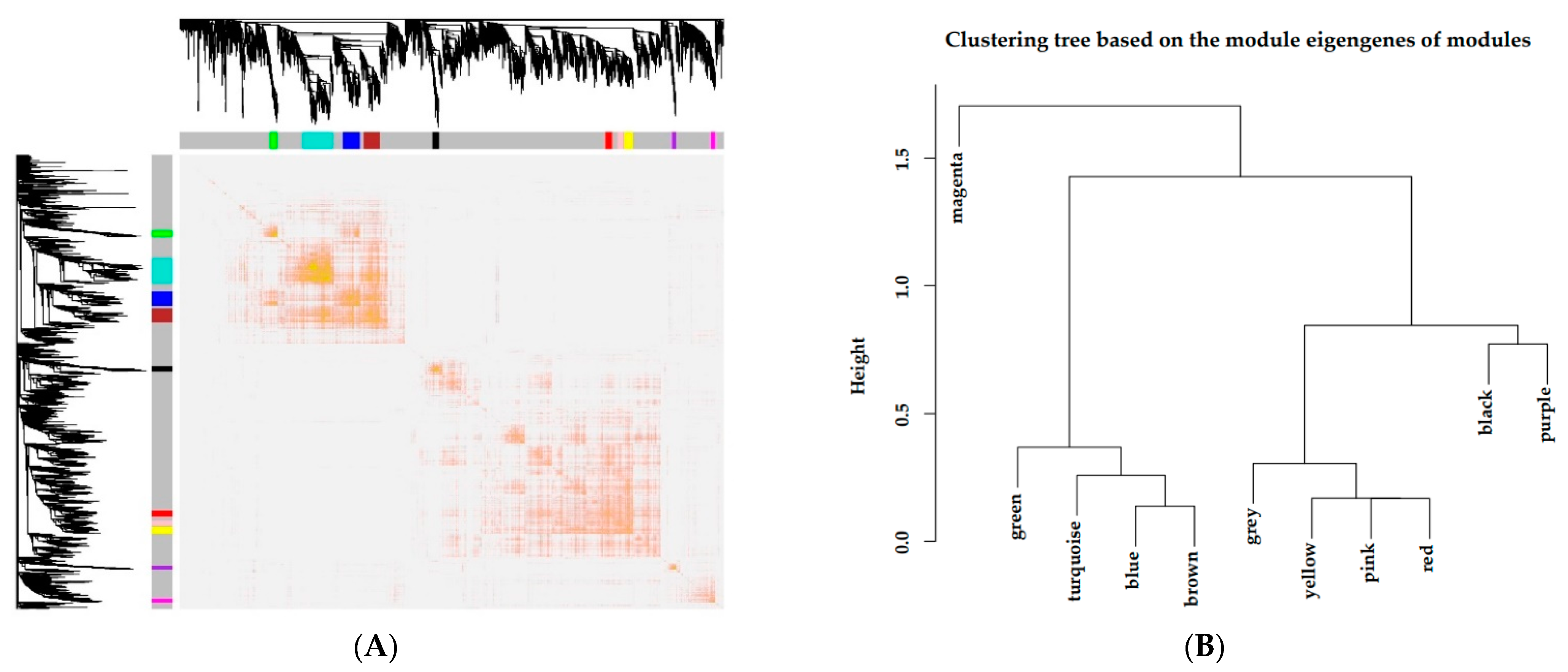 Animals 11 00314 g004
