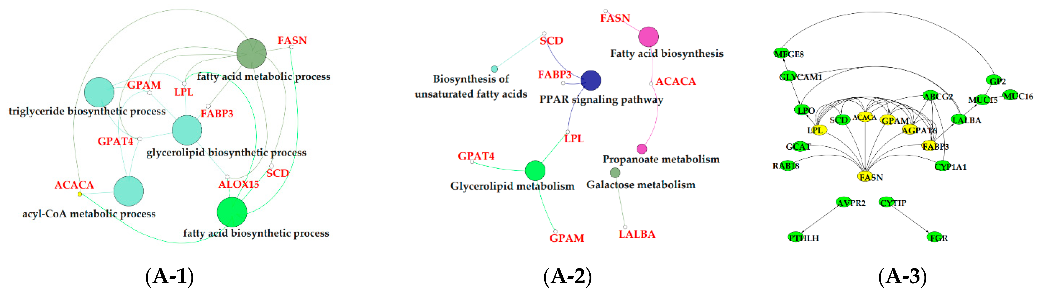 Animals 11 00314 g006a