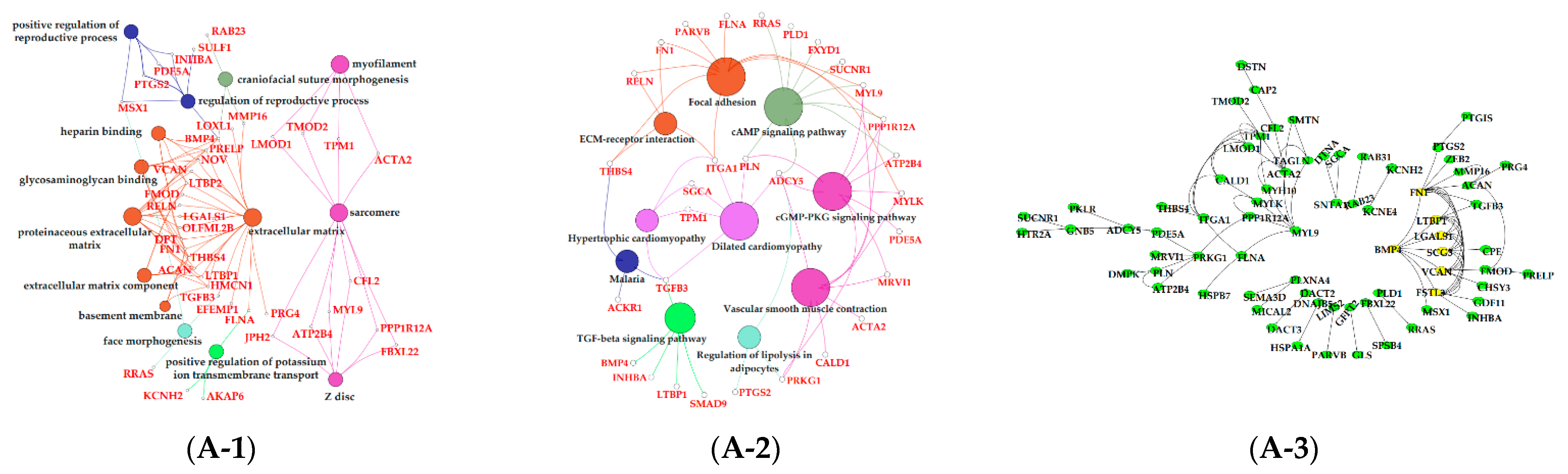 Animals 11 00314 g007a