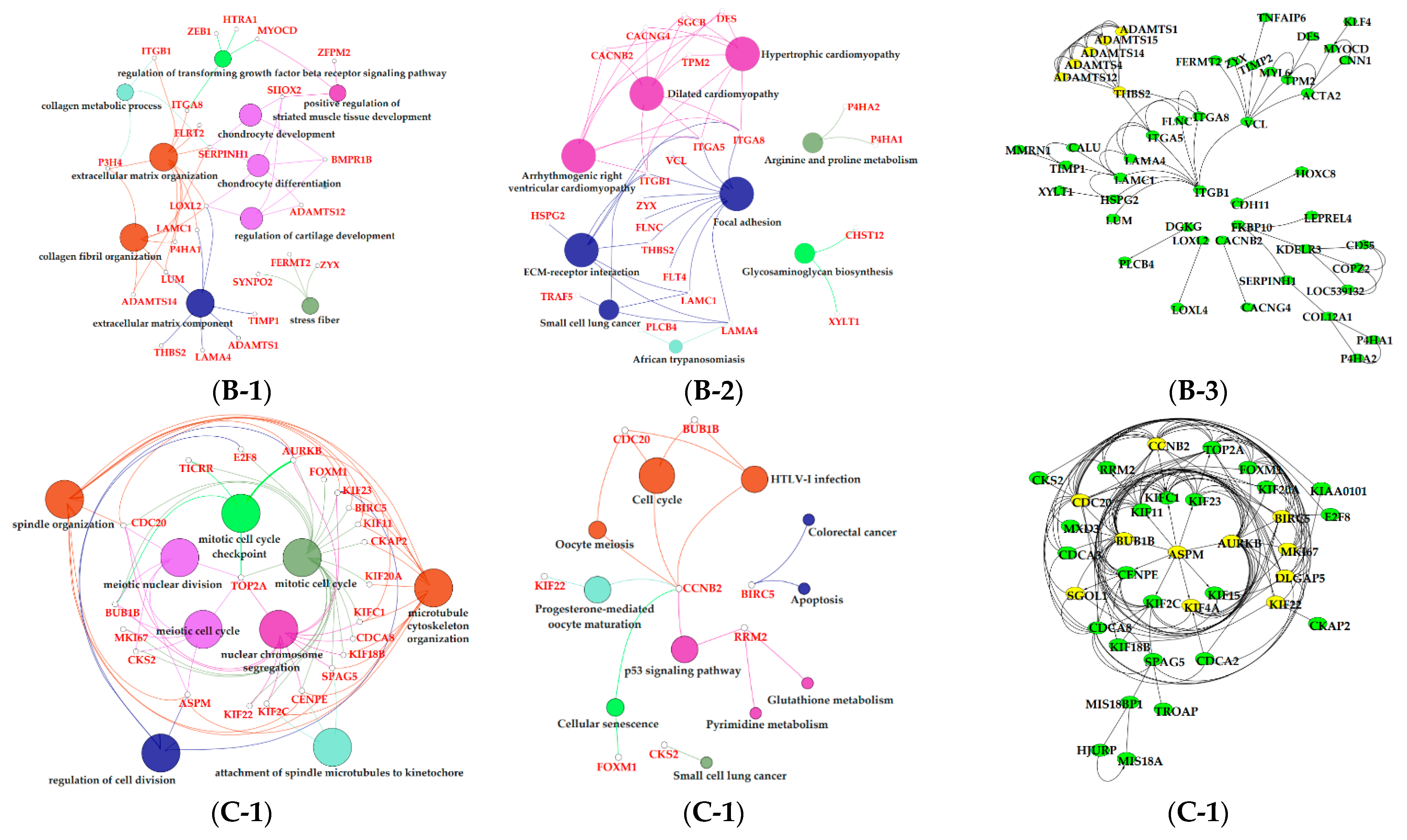 Animals 11 00314 g007b