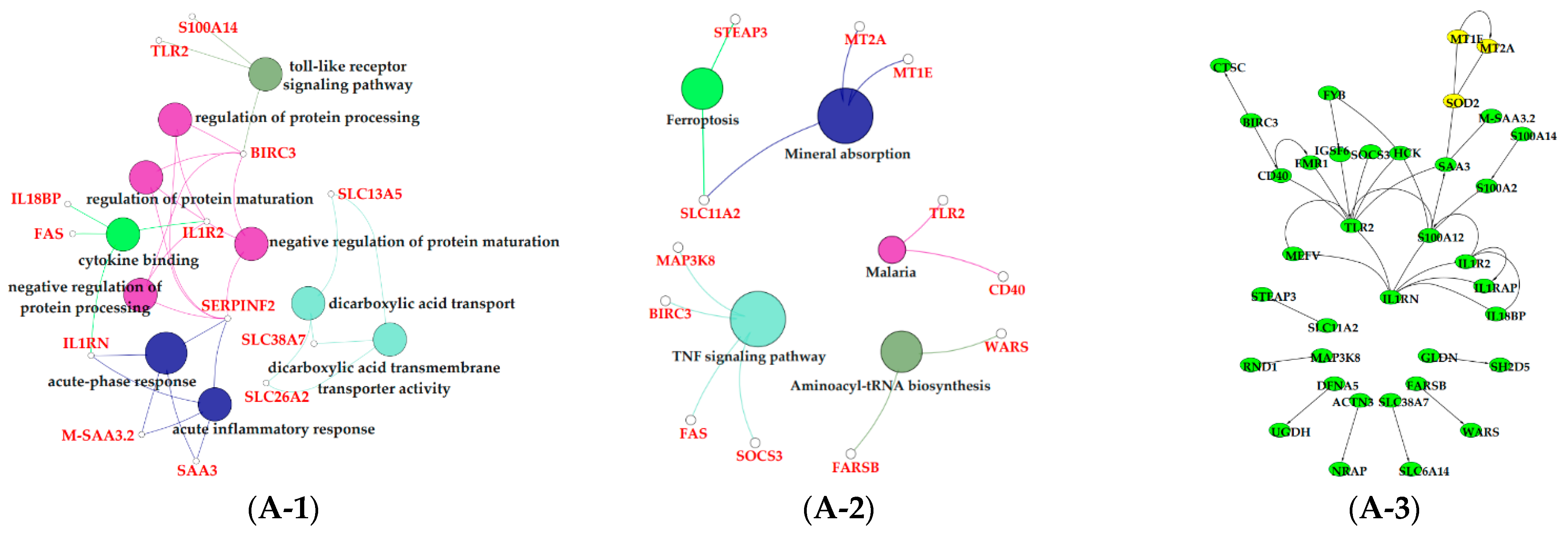 Animals 11 00314 g008a