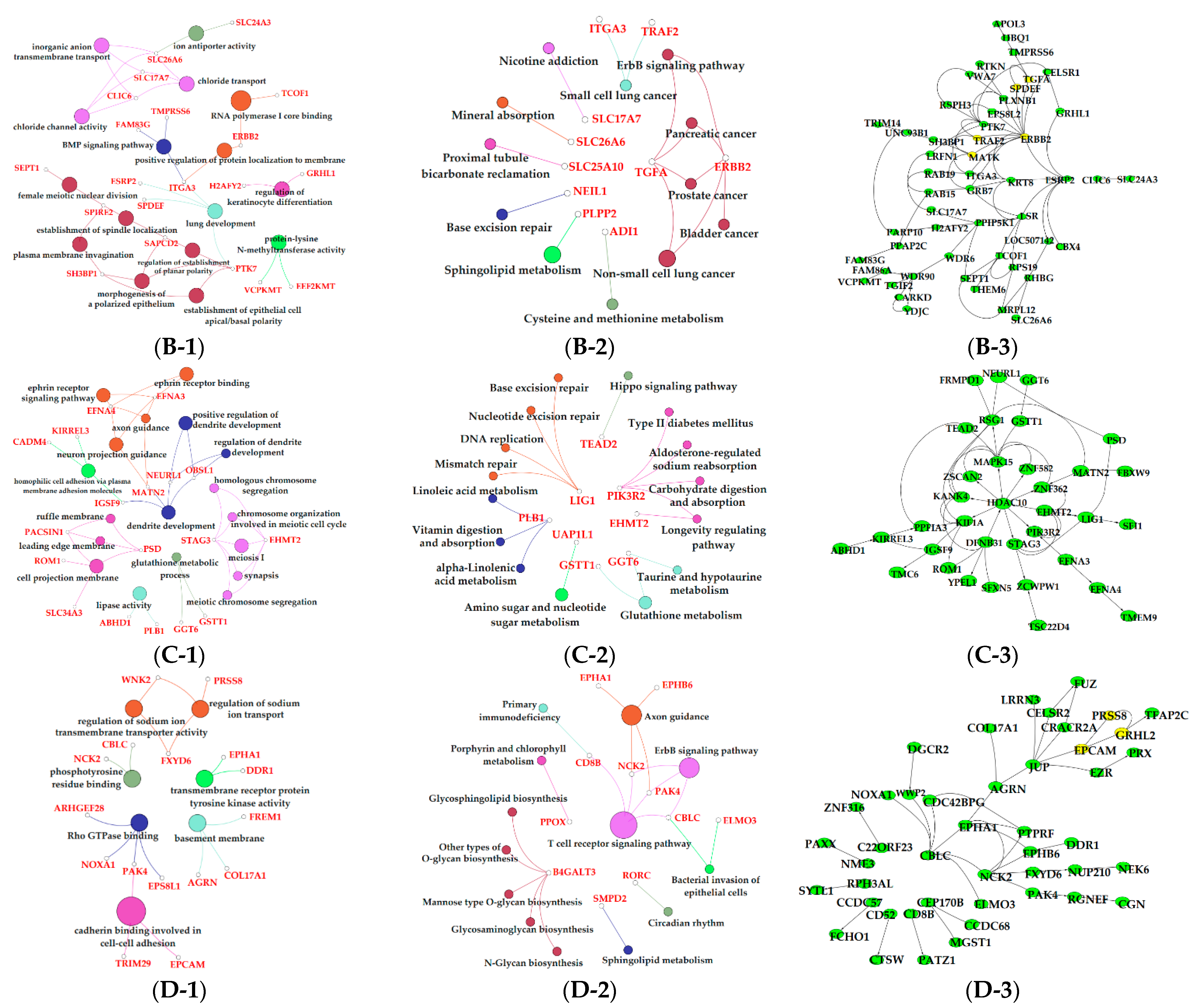 Animals 11 00314 g008b