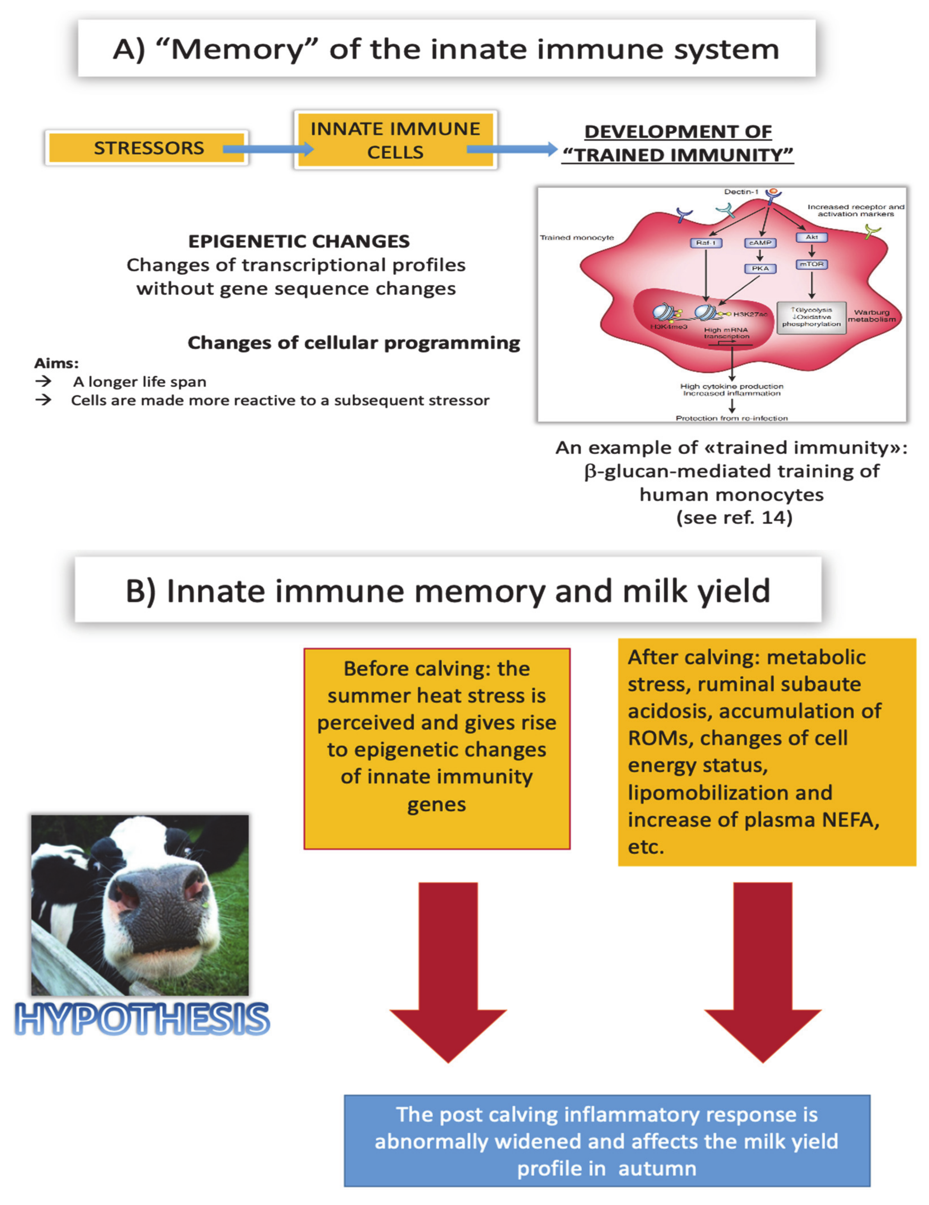 Animals 11 00388 g004