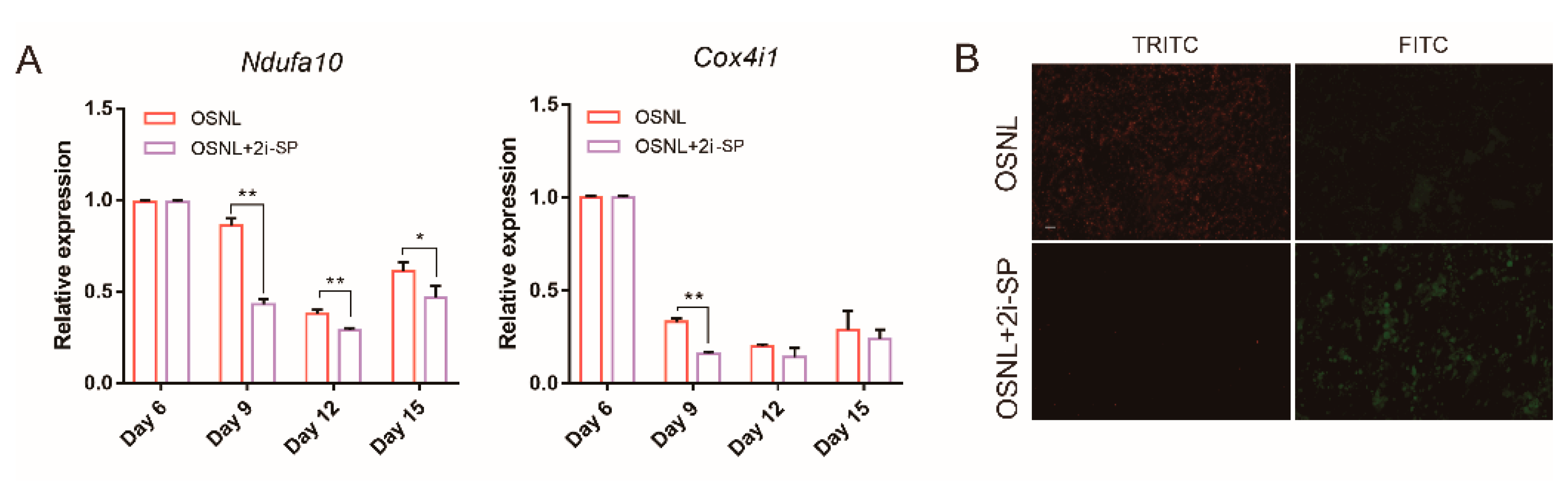Animals 11 00425 g007