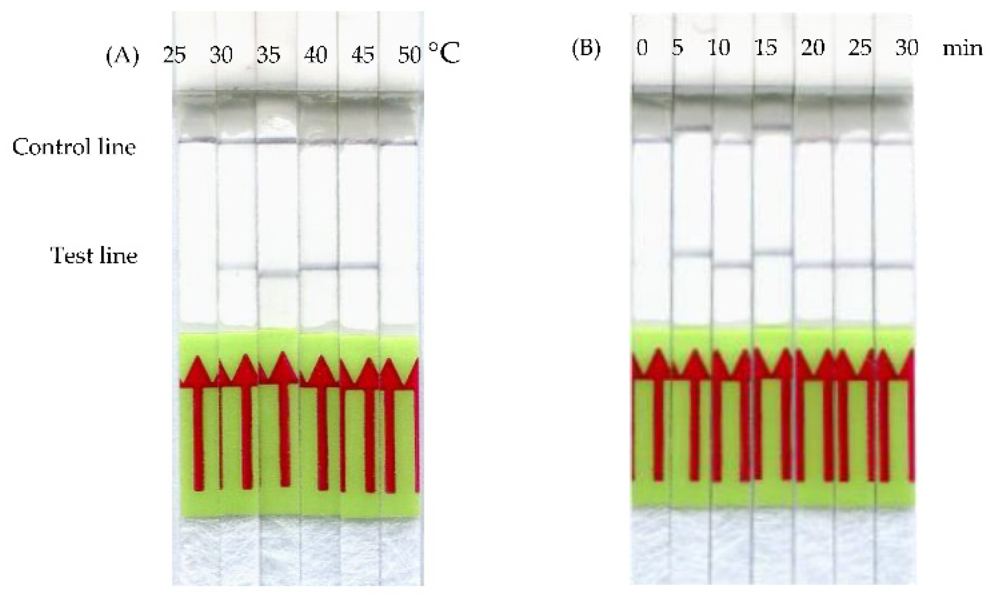 Animals 11 00426 g002