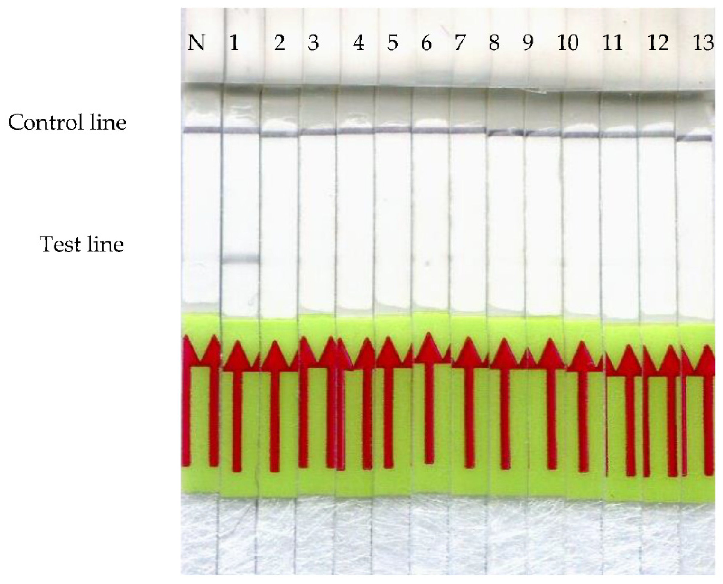 Animals 11 00426 g003