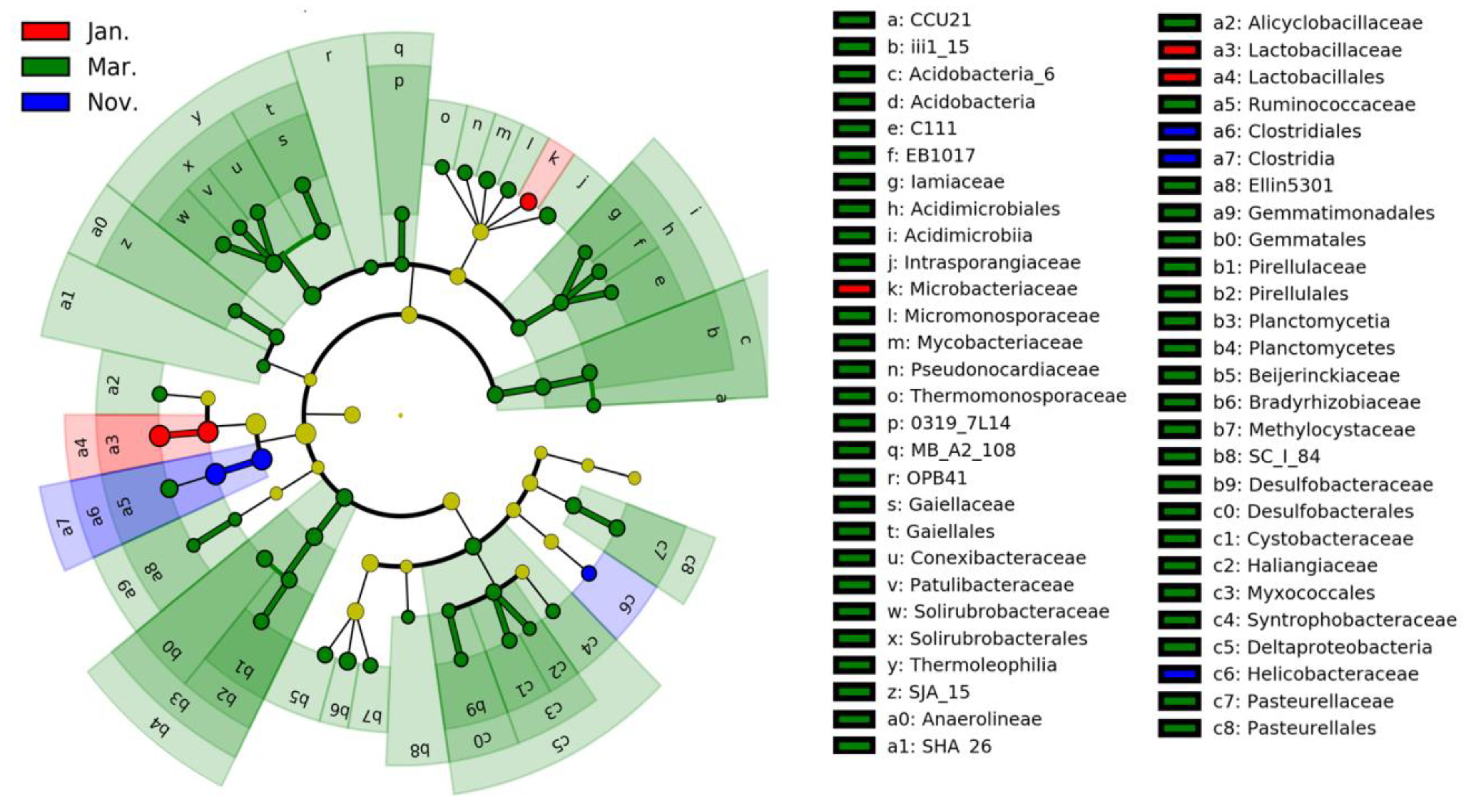 Animals Free Full Text Effects Of Food Changes On Intestinal Bacterial Diversity Of Wintering Hooded Cranes Grus Monacha Html