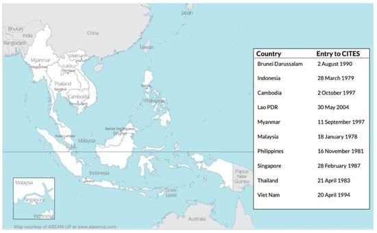 How to Download & Play Lost Ark in South East Asia (SEA)