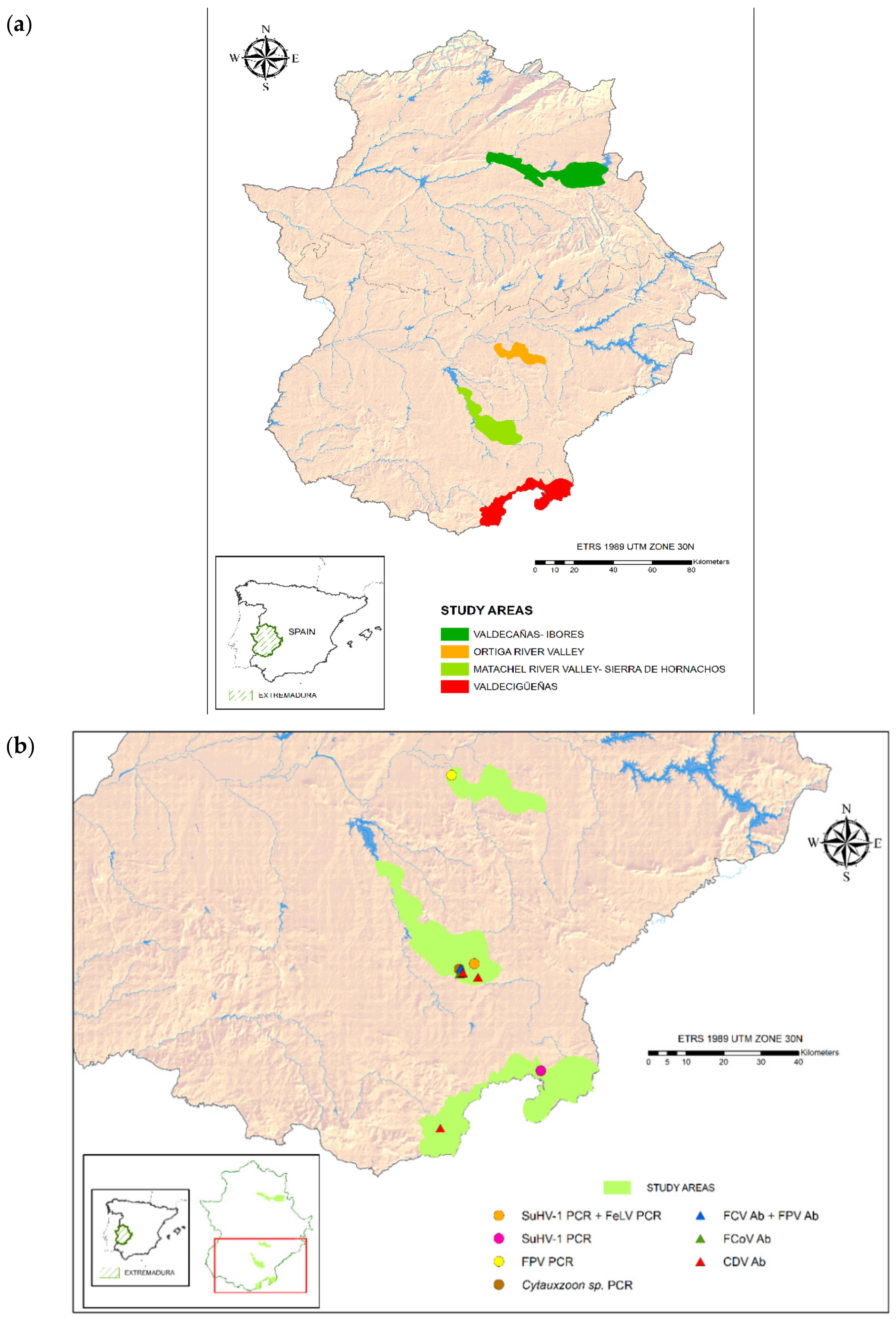 Animals | Free Full-Text | Disease Surveillance during the Reintroduction  of the Iberian Lynx (Lynx pardinus) in Southwestern Spain | HTML