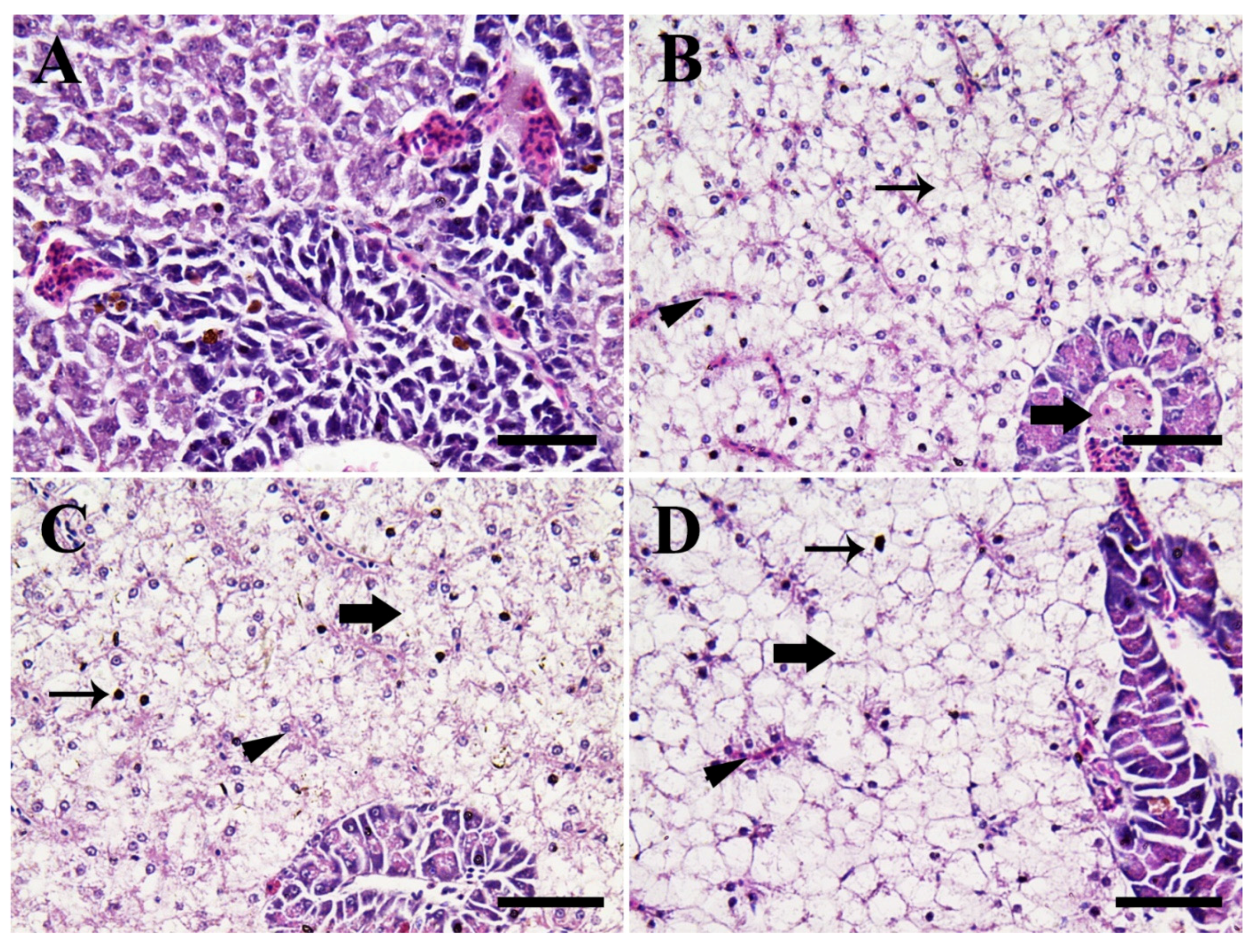 Animals 11 00652 g008