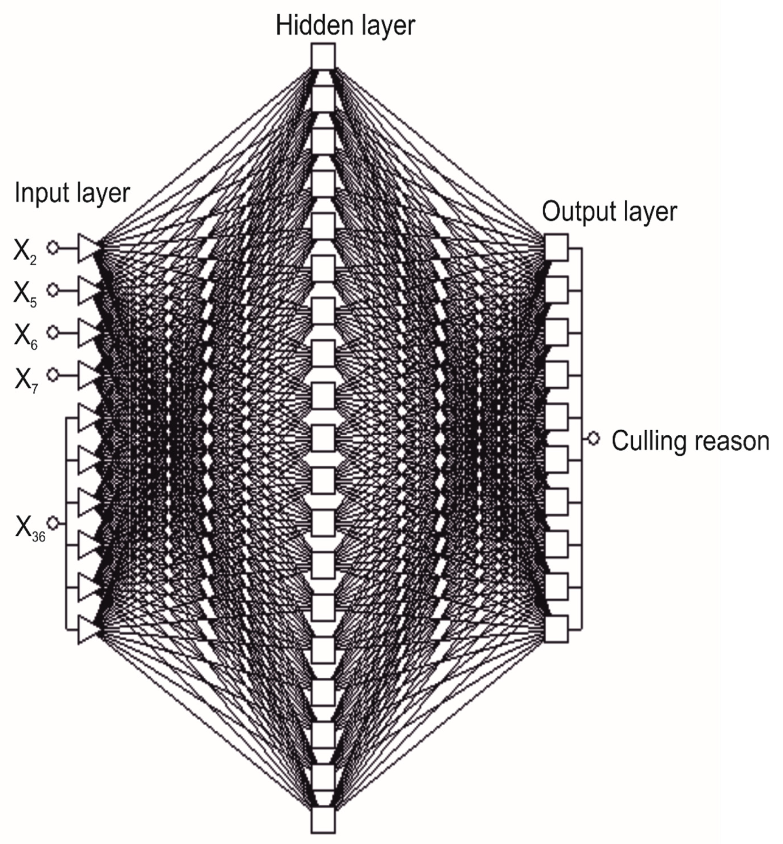 Animals 11 00721 g002