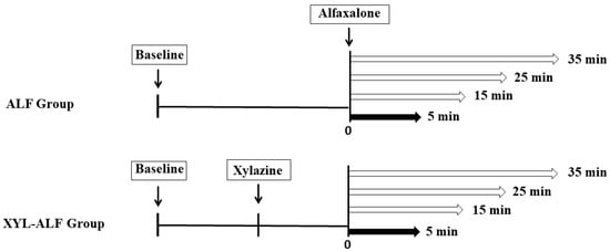 Animals | Free Full-Text | The Effect of Xylazine Premedication on the