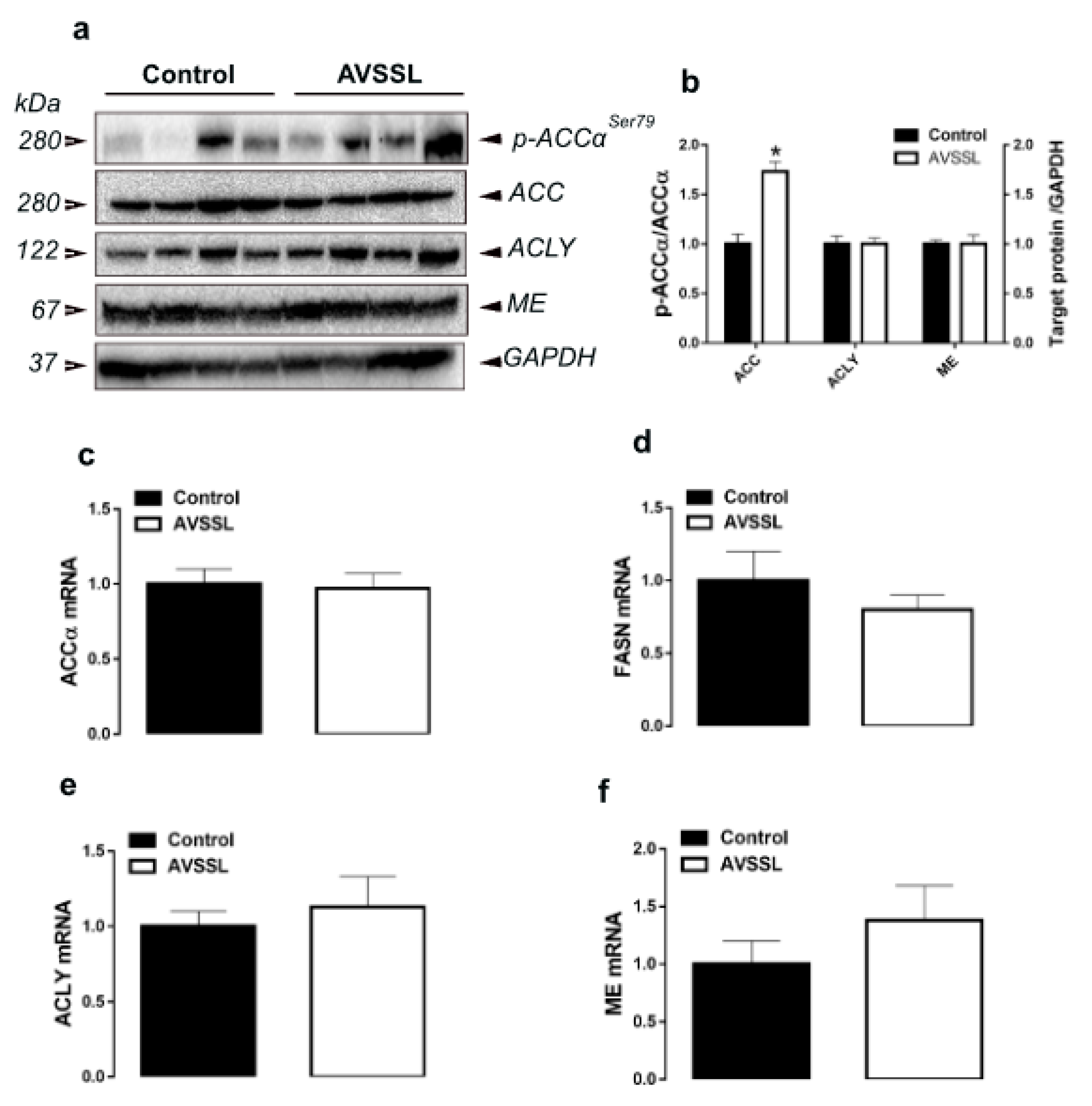 Animals 11 00750 g001