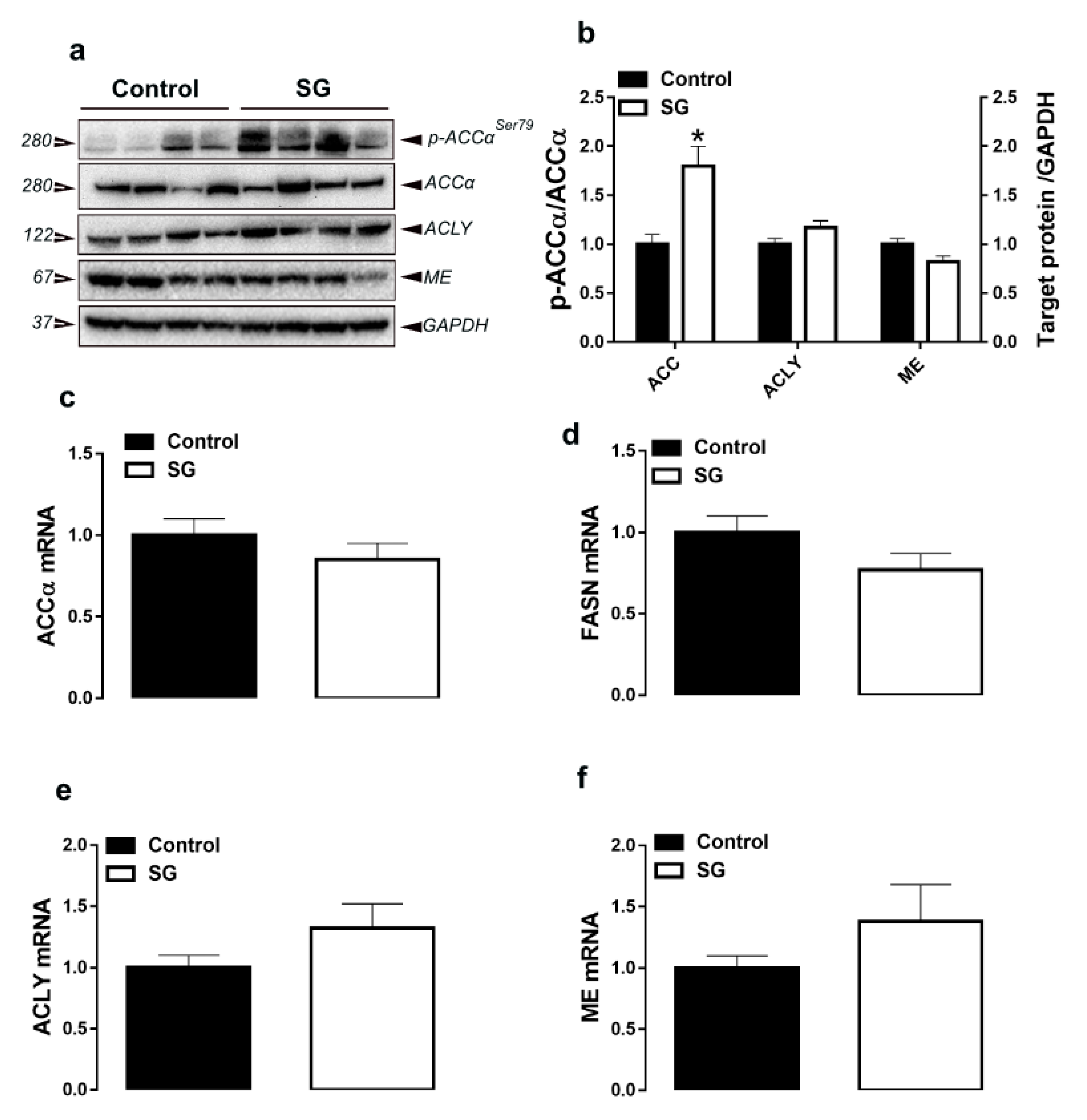 Animals 11 00750 g002