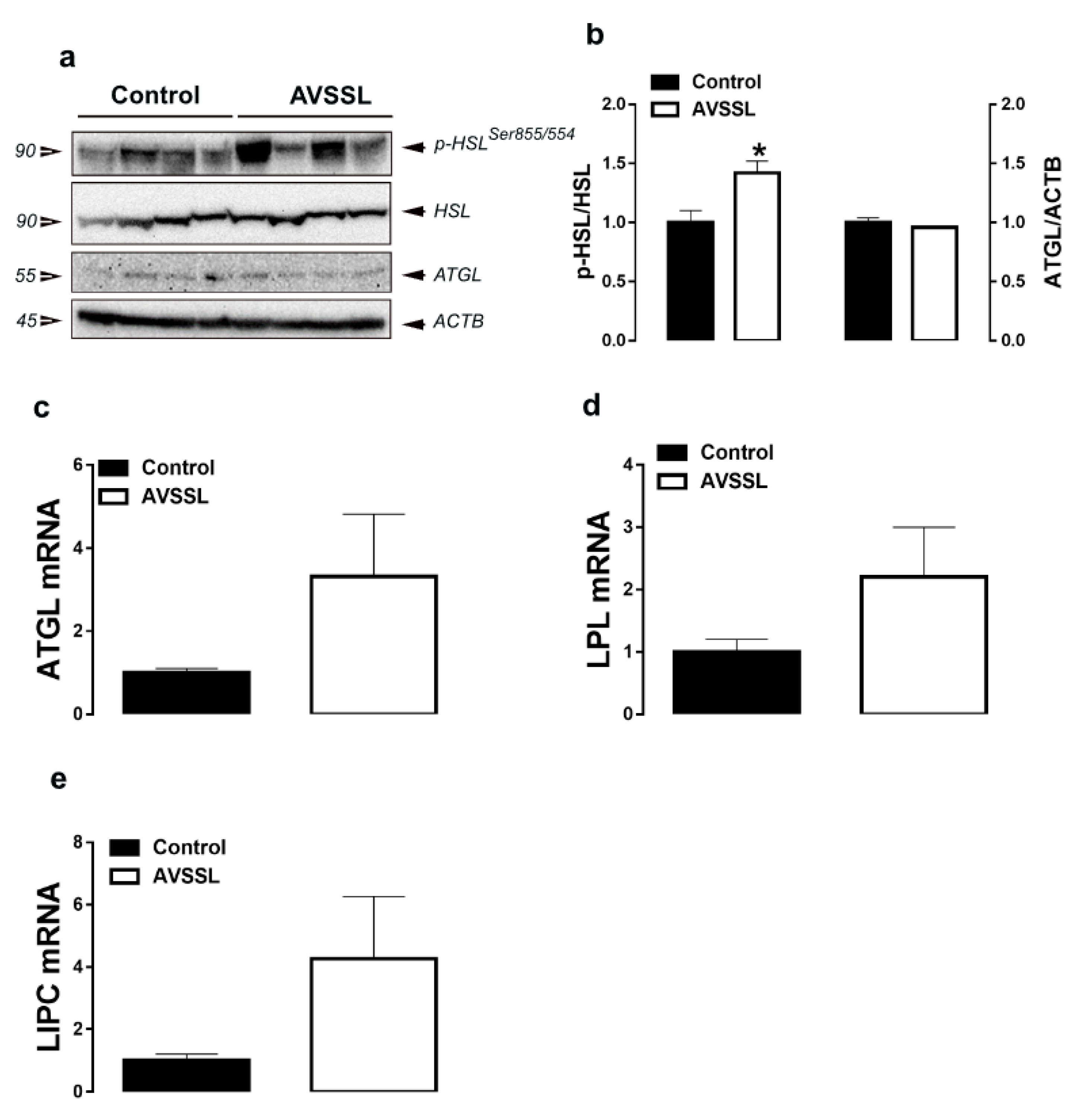 Animals 11 00750 g003