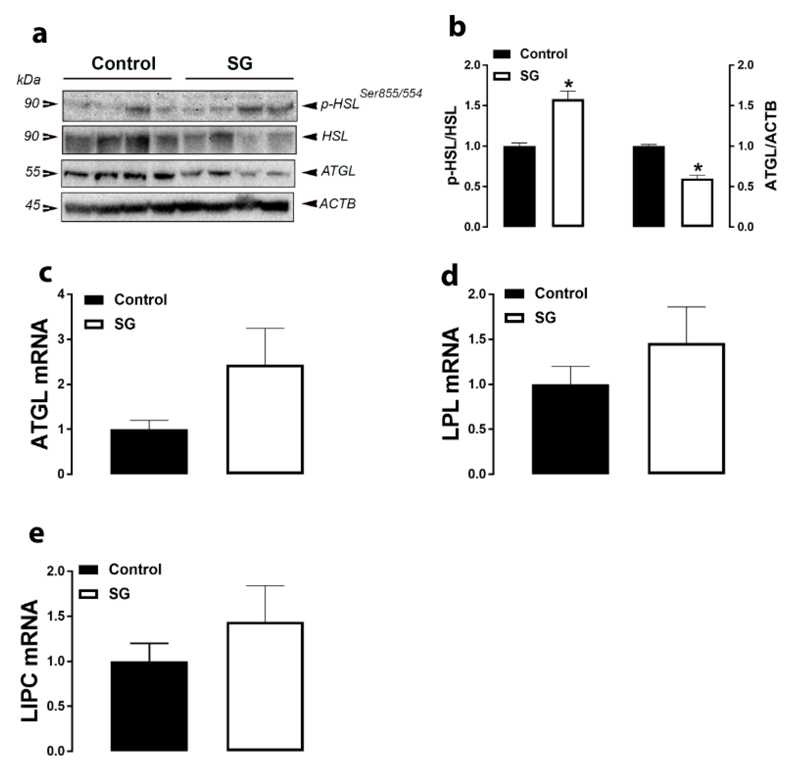 Animals 11 00750 g004