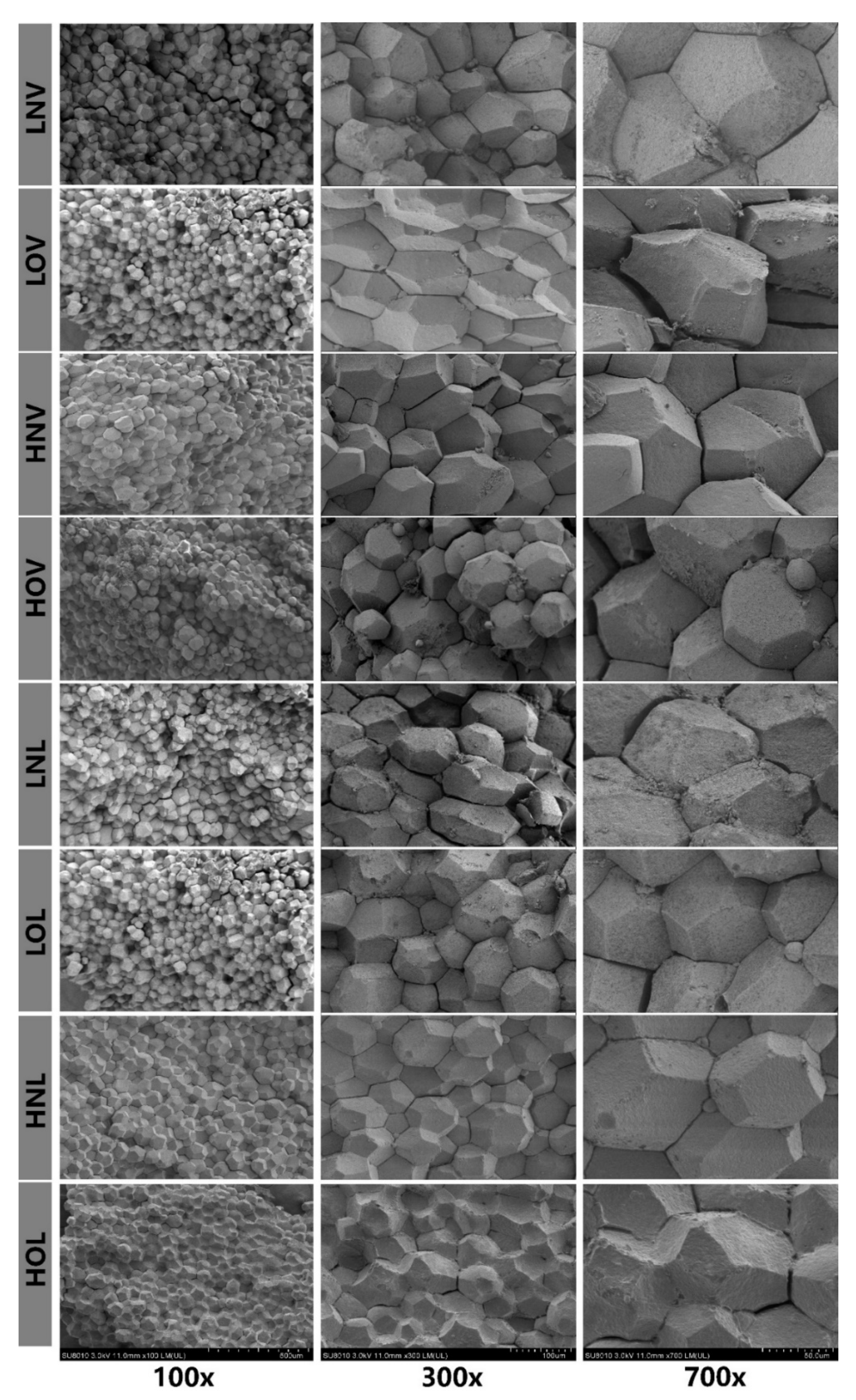 Animals 11 00769 g001