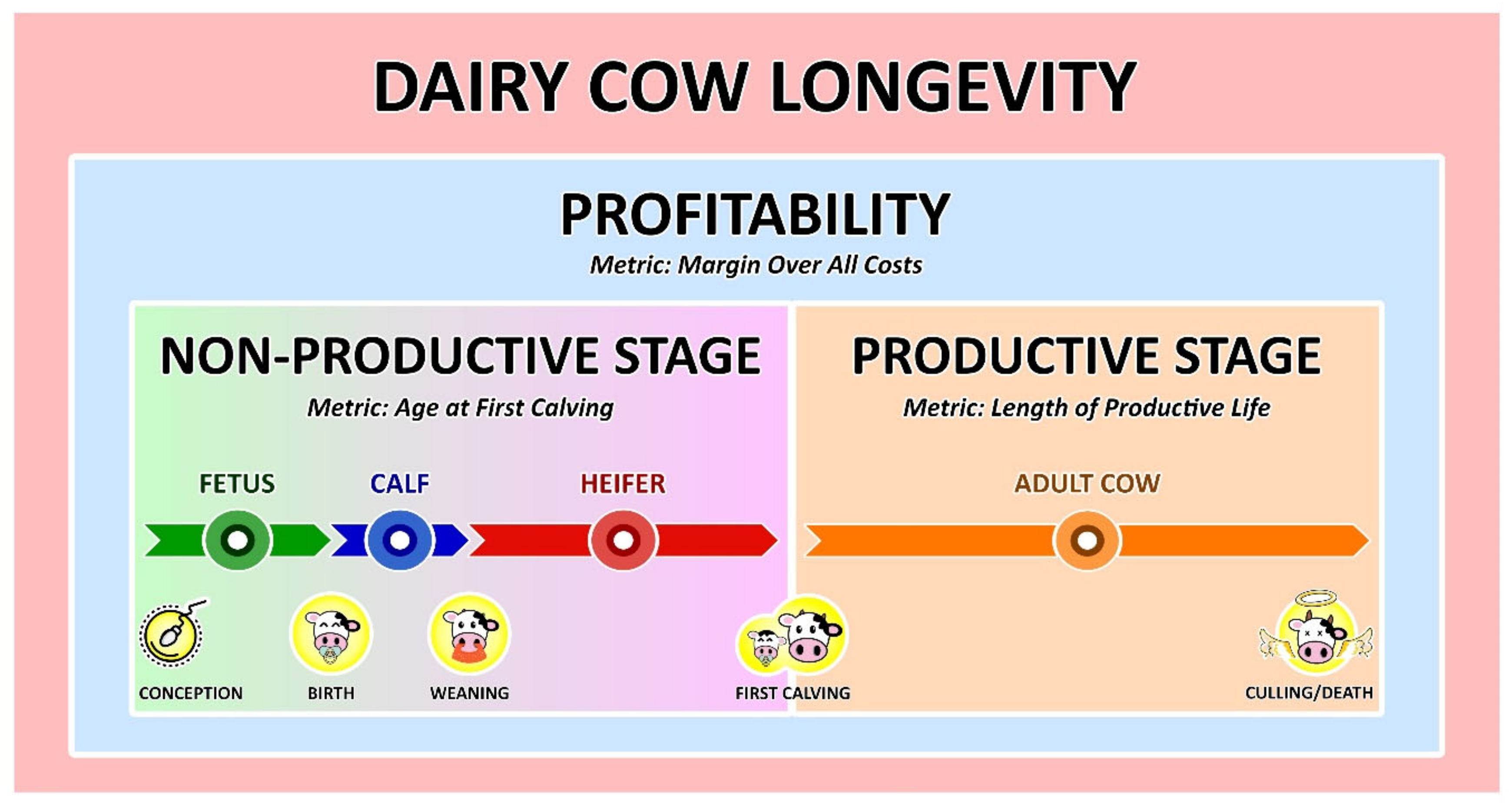 Animals Free Full Text Keeping Dairy Cows For Longer A Critical Literature Review On Dairy Cow Longevity In High Milk Producing Countries