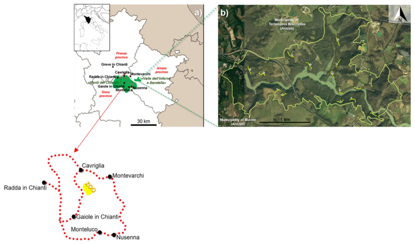 Animals | Free Full-Text | From the Andes to the Apennines: Rise and Fall  of a Free-Ranging Population of Feral Llamas