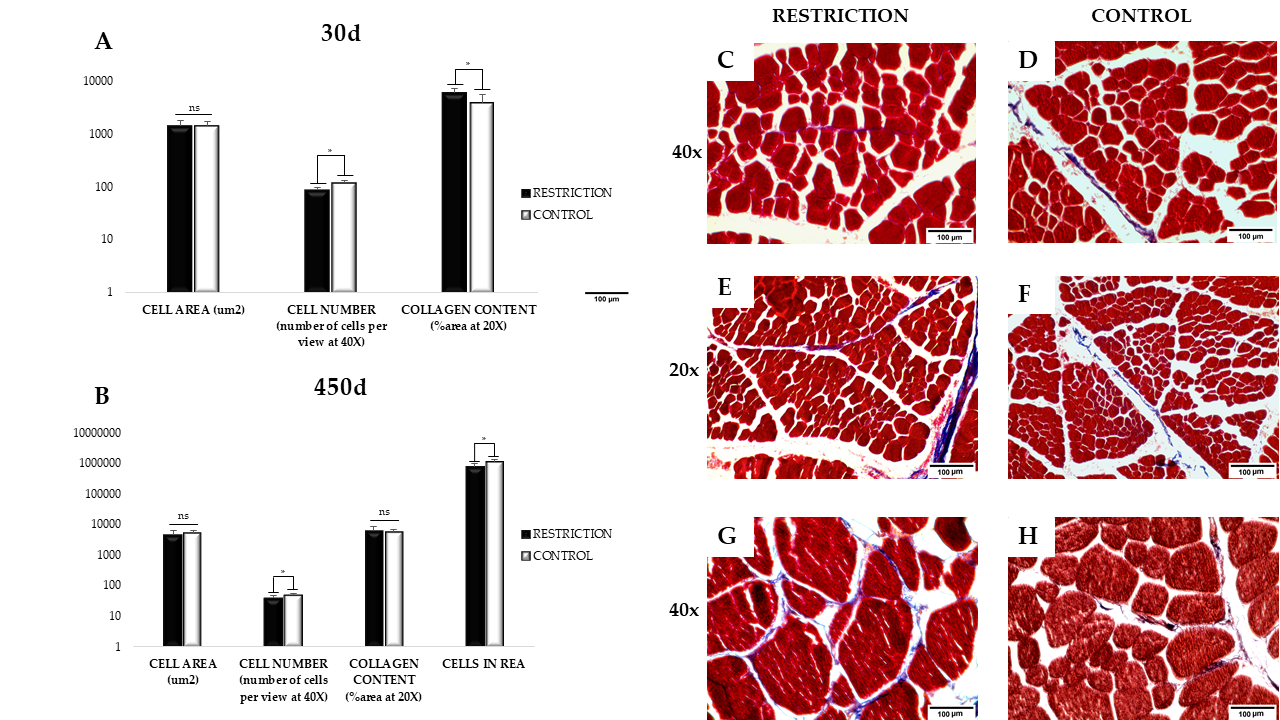 Animals 11 00860 g001