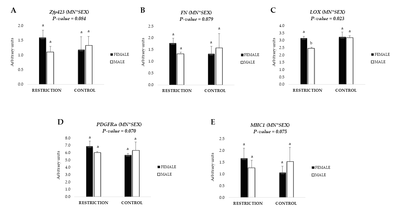 Animals 11 00860 g002