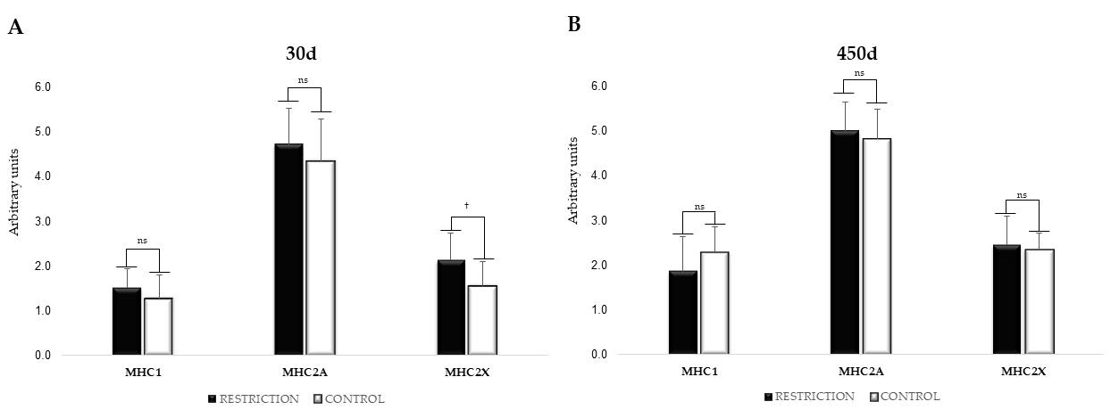 Animals 11 00860 g004