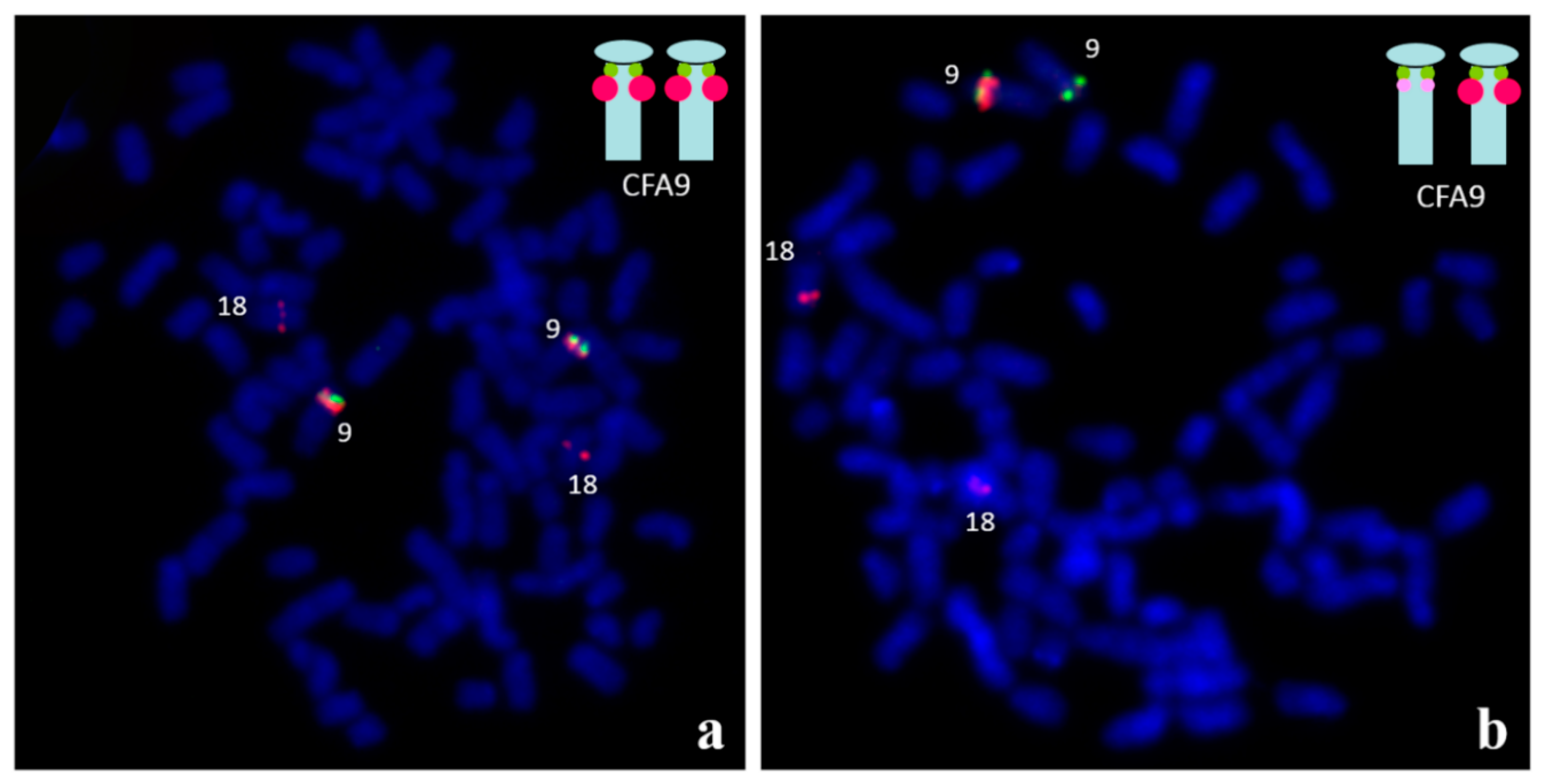 Animals 11 00947 g004