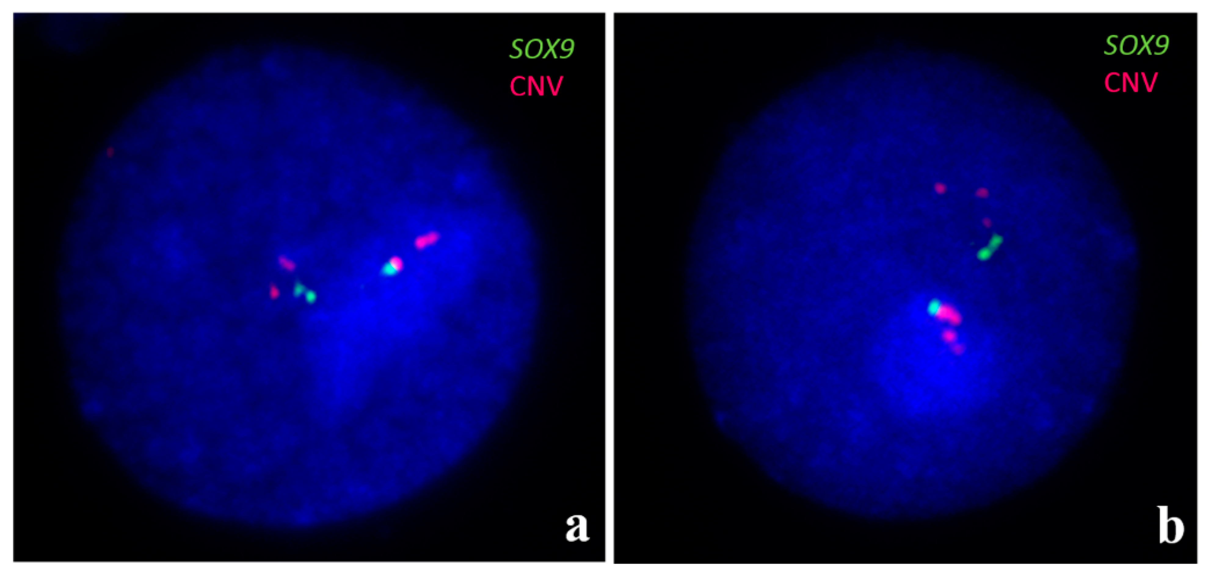 Animals 11 00947 g005