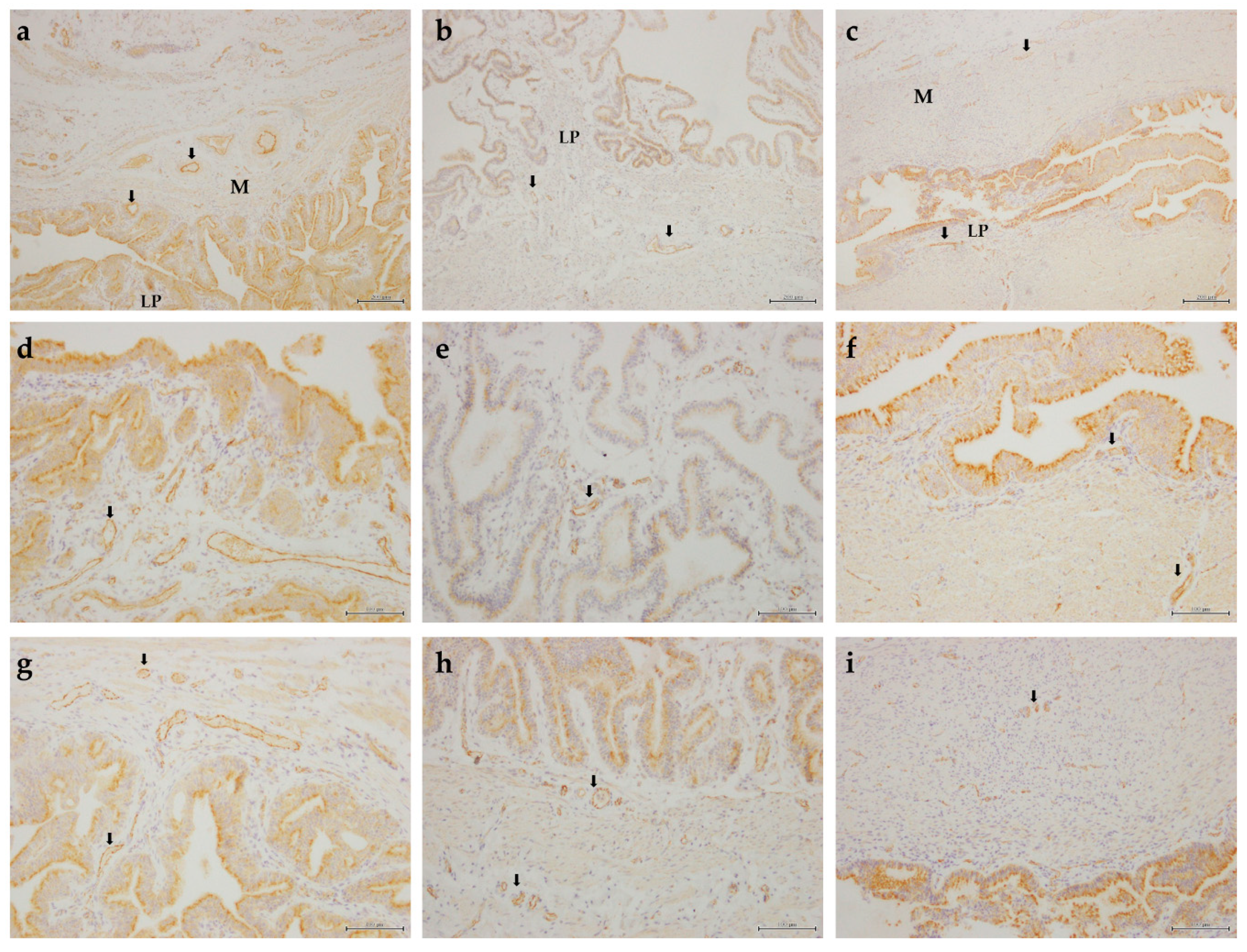 Animals 11 01099 g003