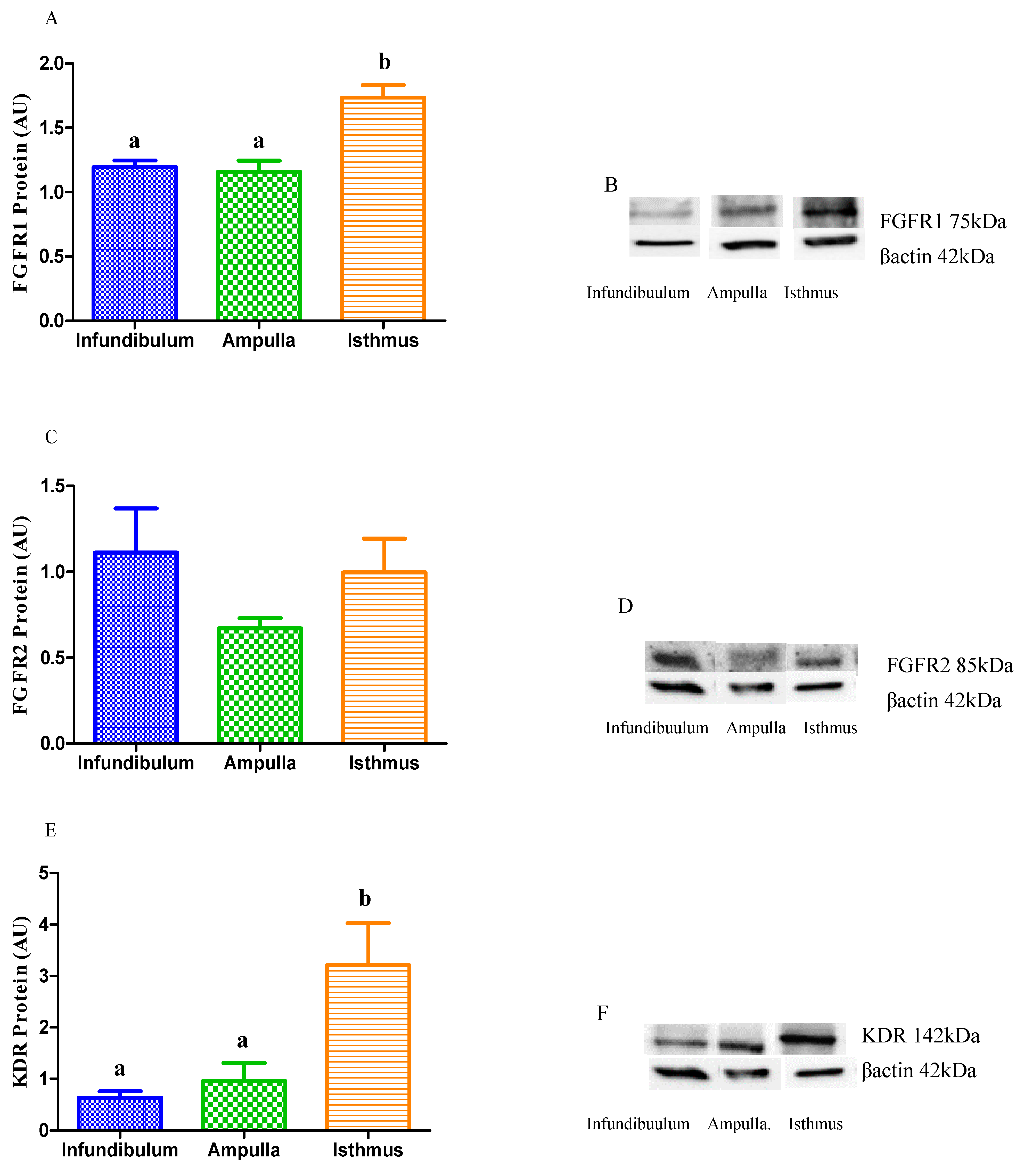 Animals 11 01099 g007