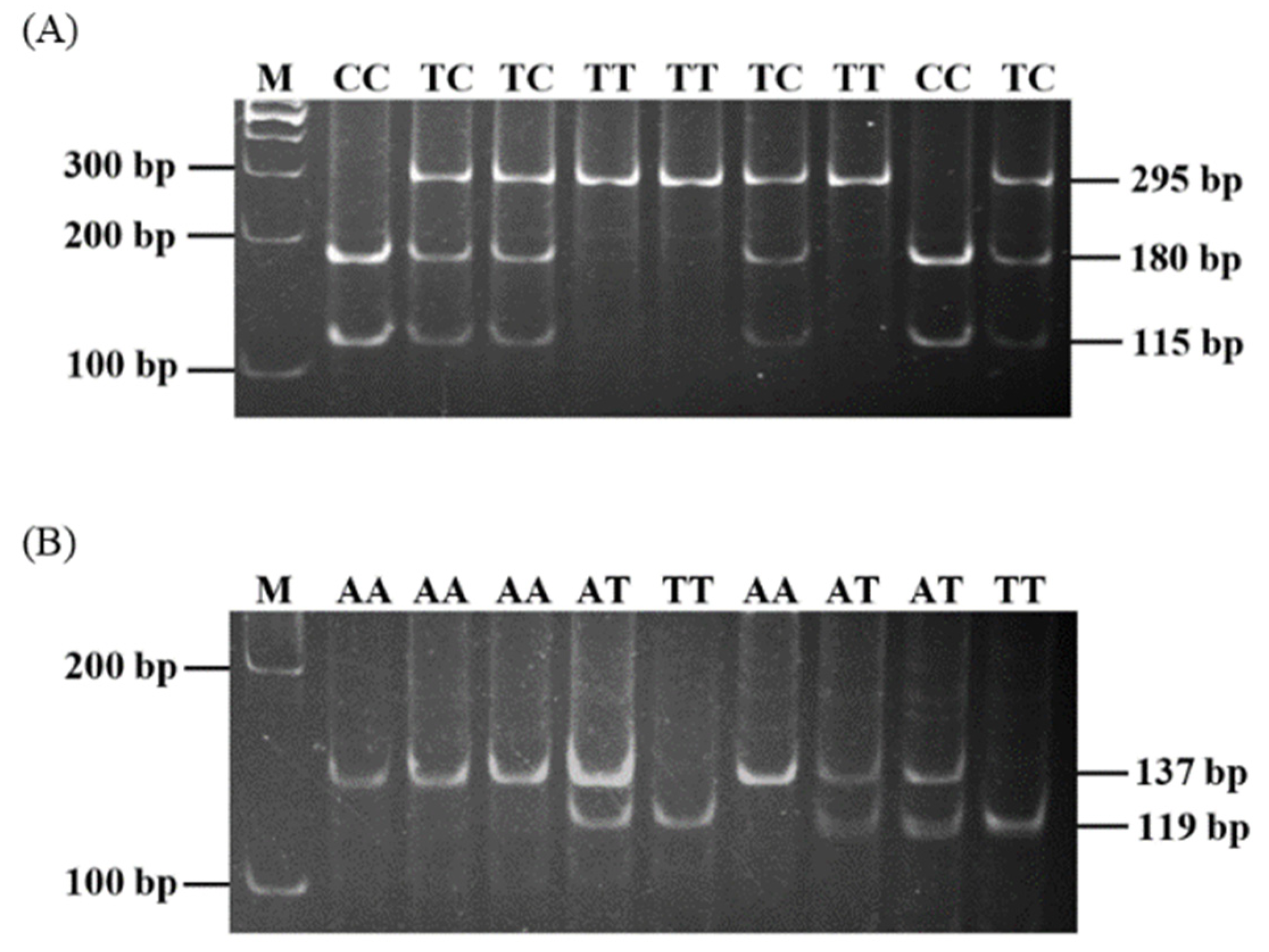 Animals 11 01154 g001