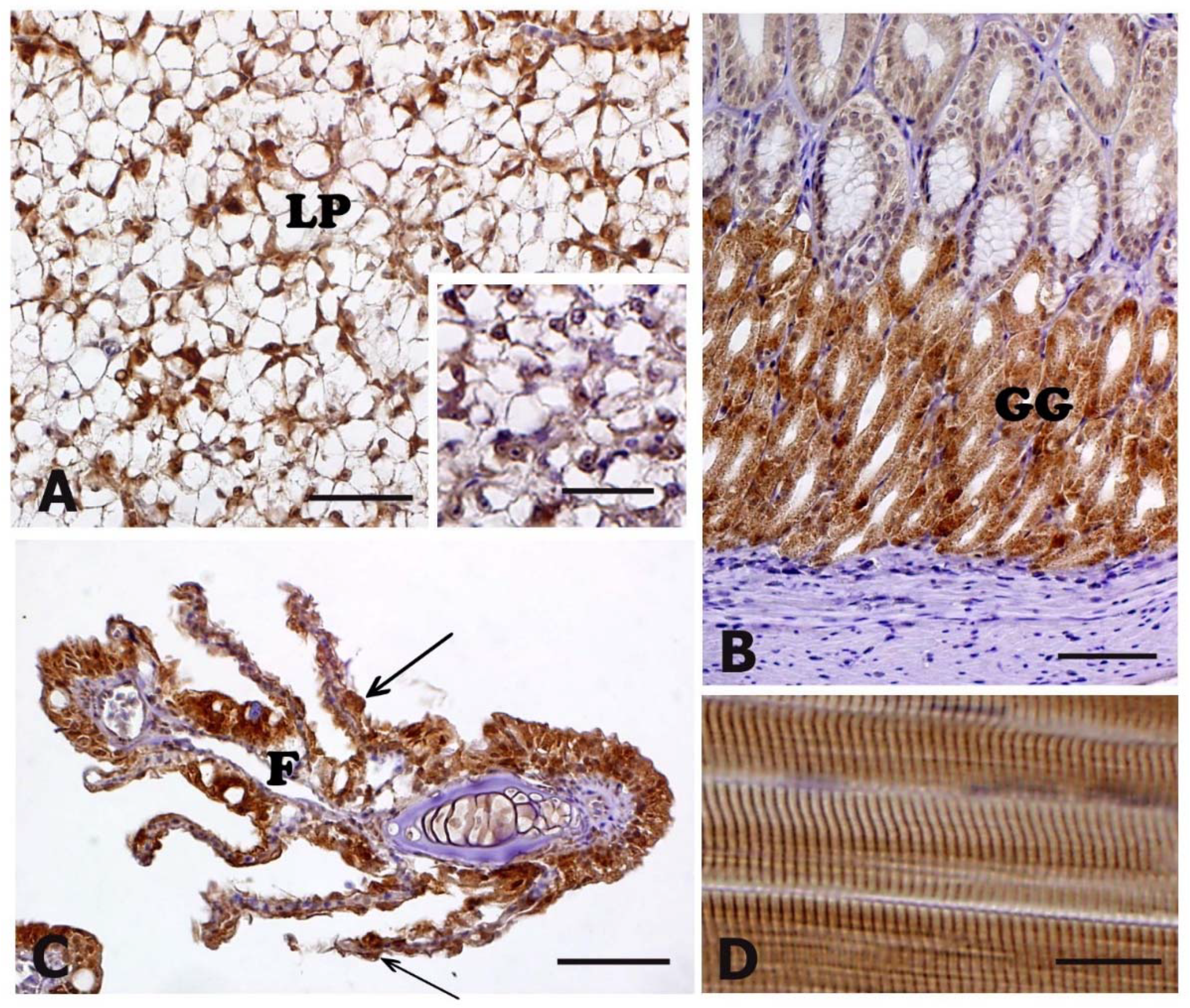 Animals 11 01160 g003