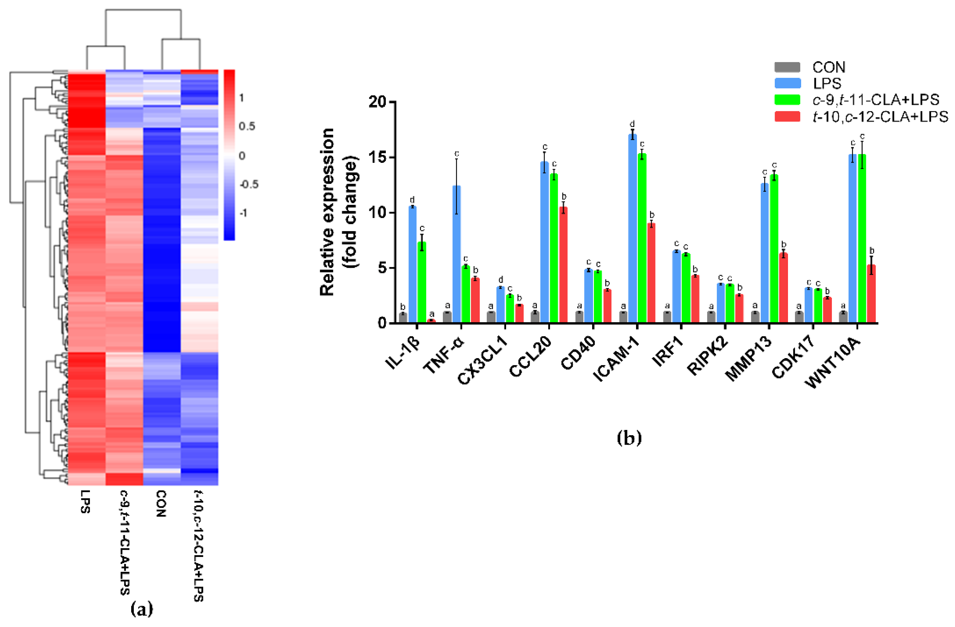 Animals 11 01169 g003