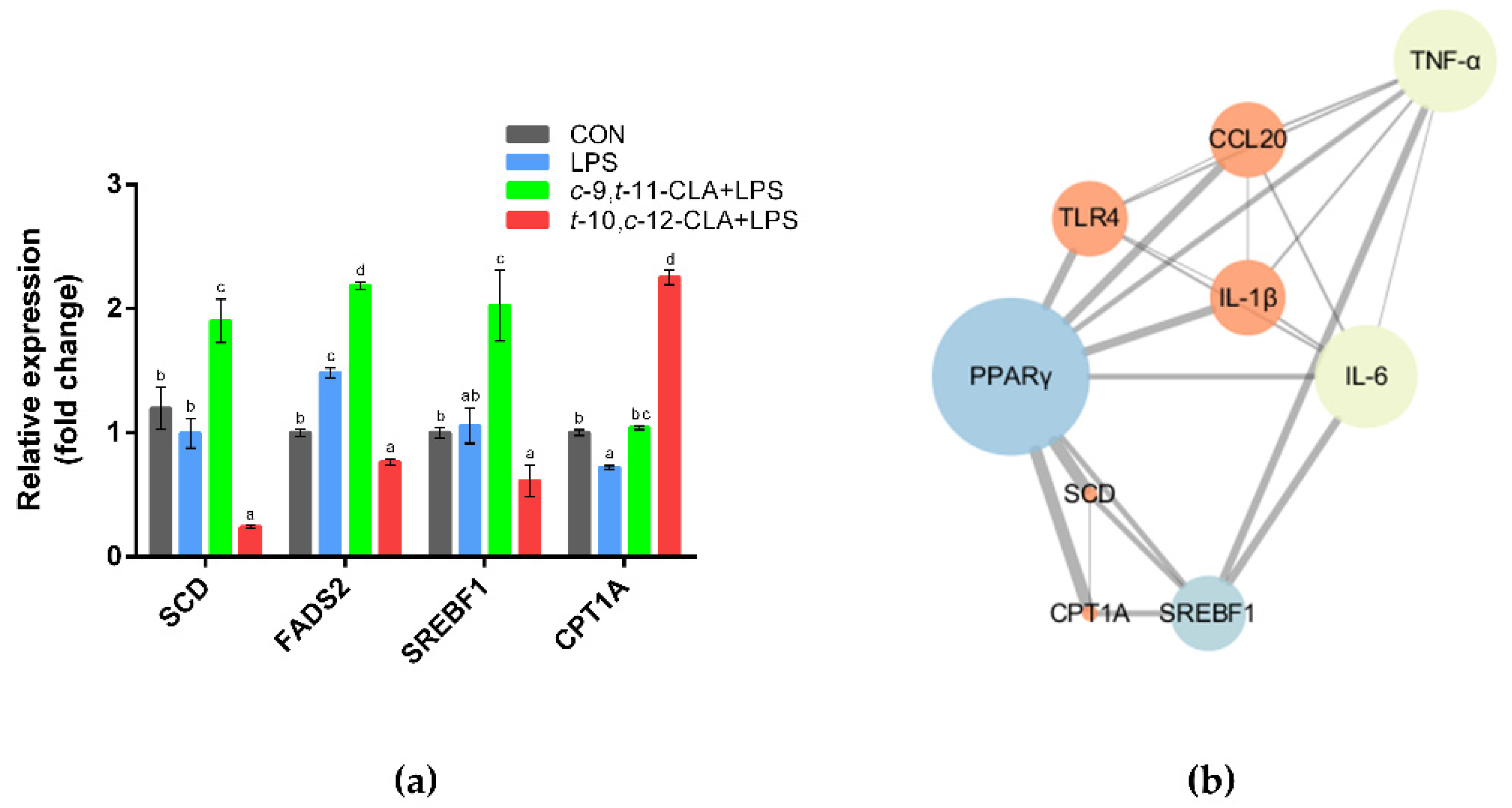 Animals 11 01169 g007