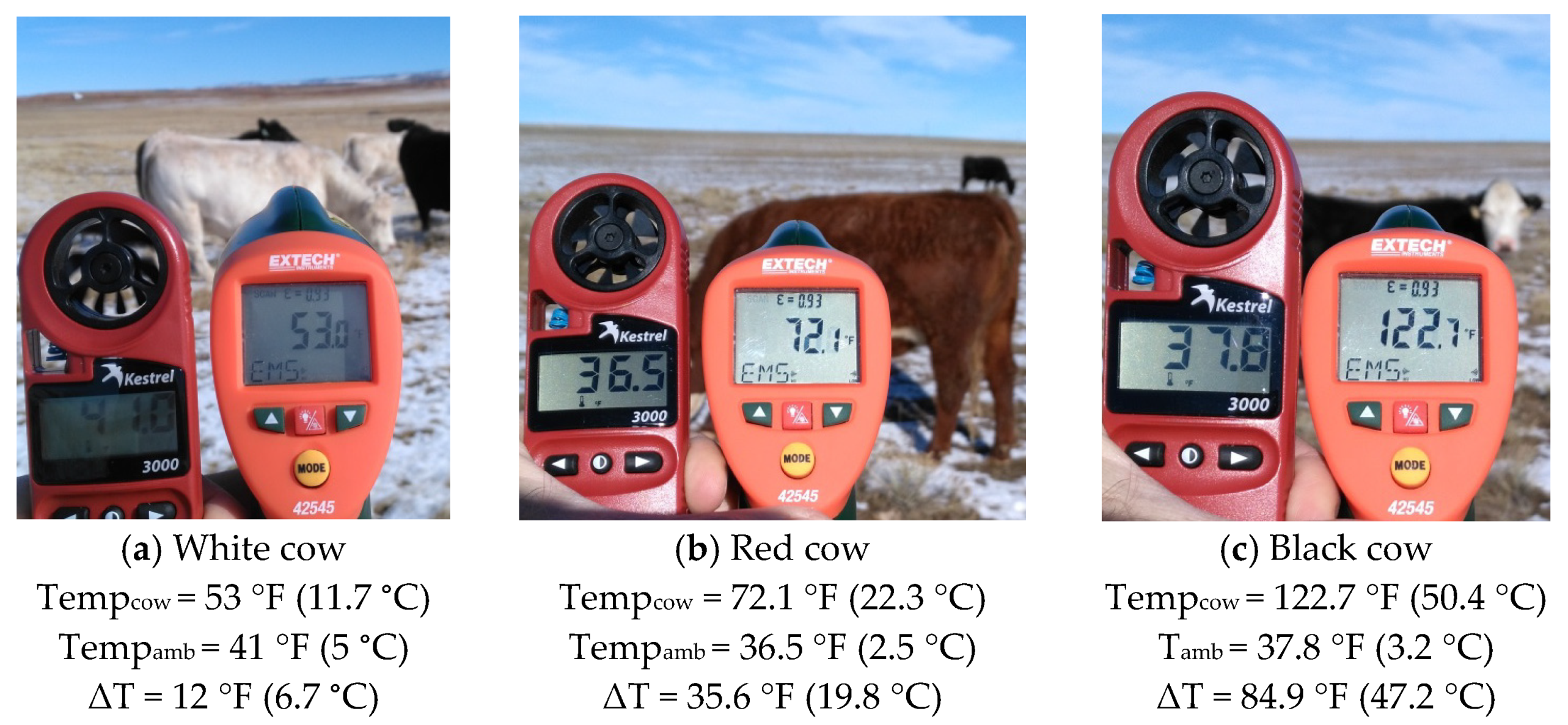 High Temperature IR Thermometer - 42545