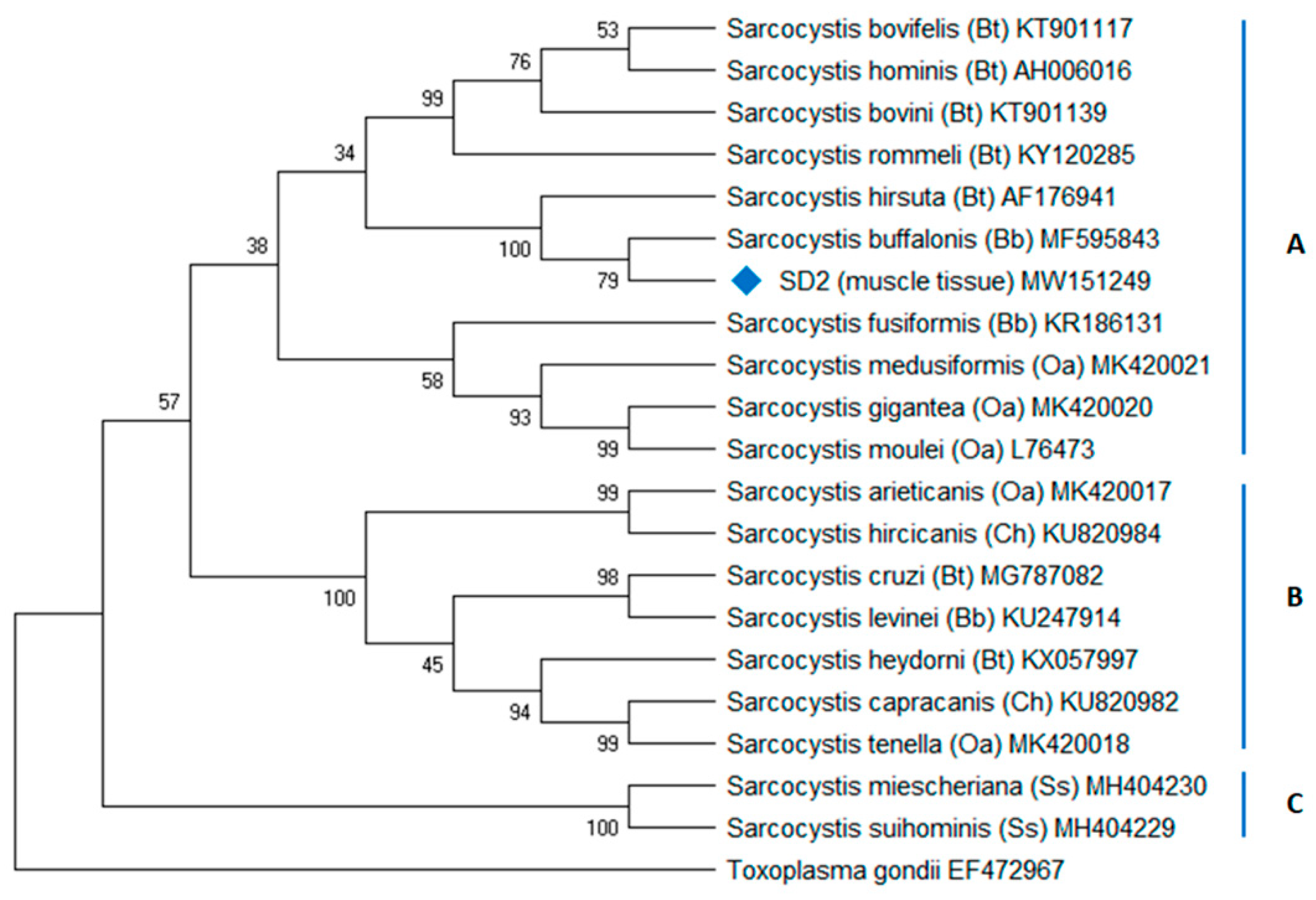 Animals 11 01201 g004 Animals 11 01201 g004