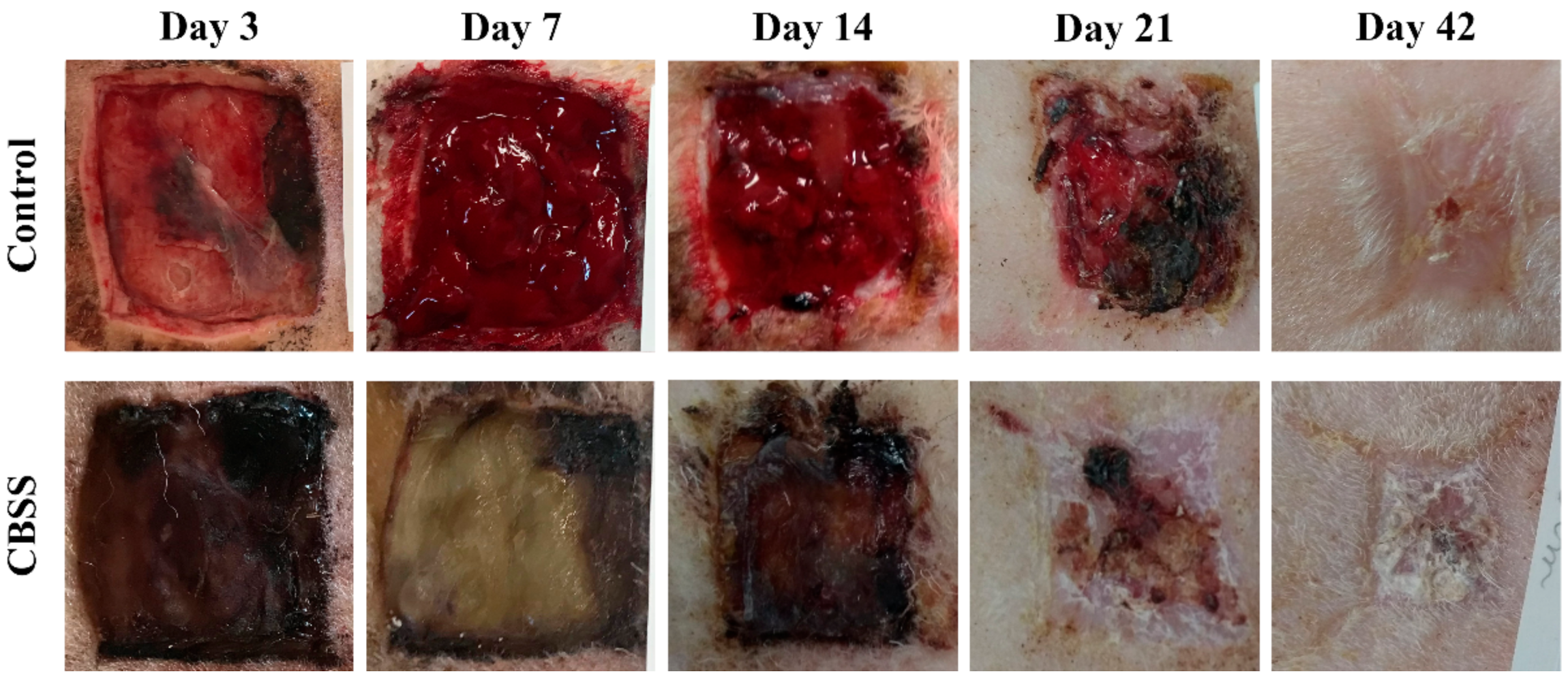 Animals 11 01219 g003 Animals 11 01219 g003