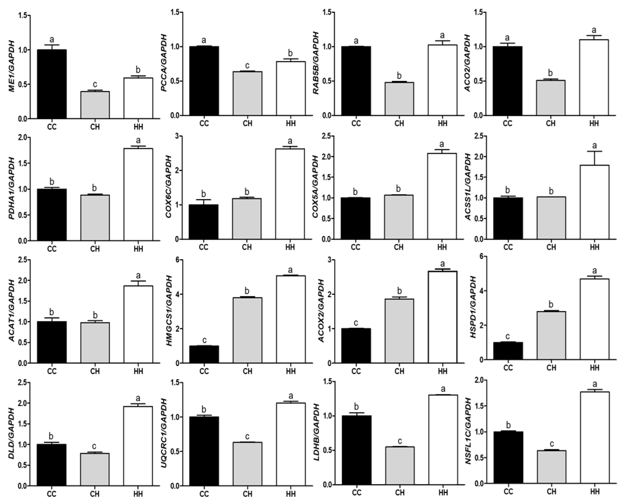 Animals 11 01338 g005 Animals 11 01338 g005