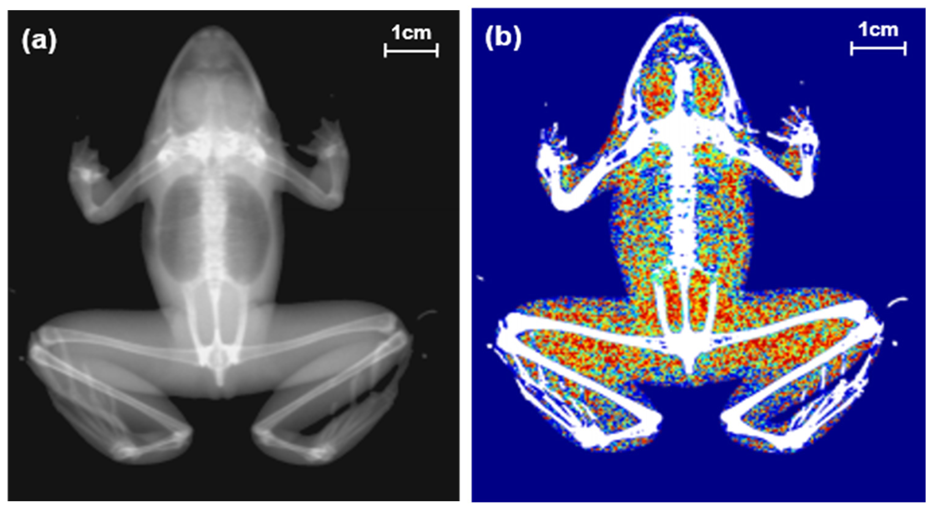 Animals 11 01407 g001 Animals 11 01407 g001