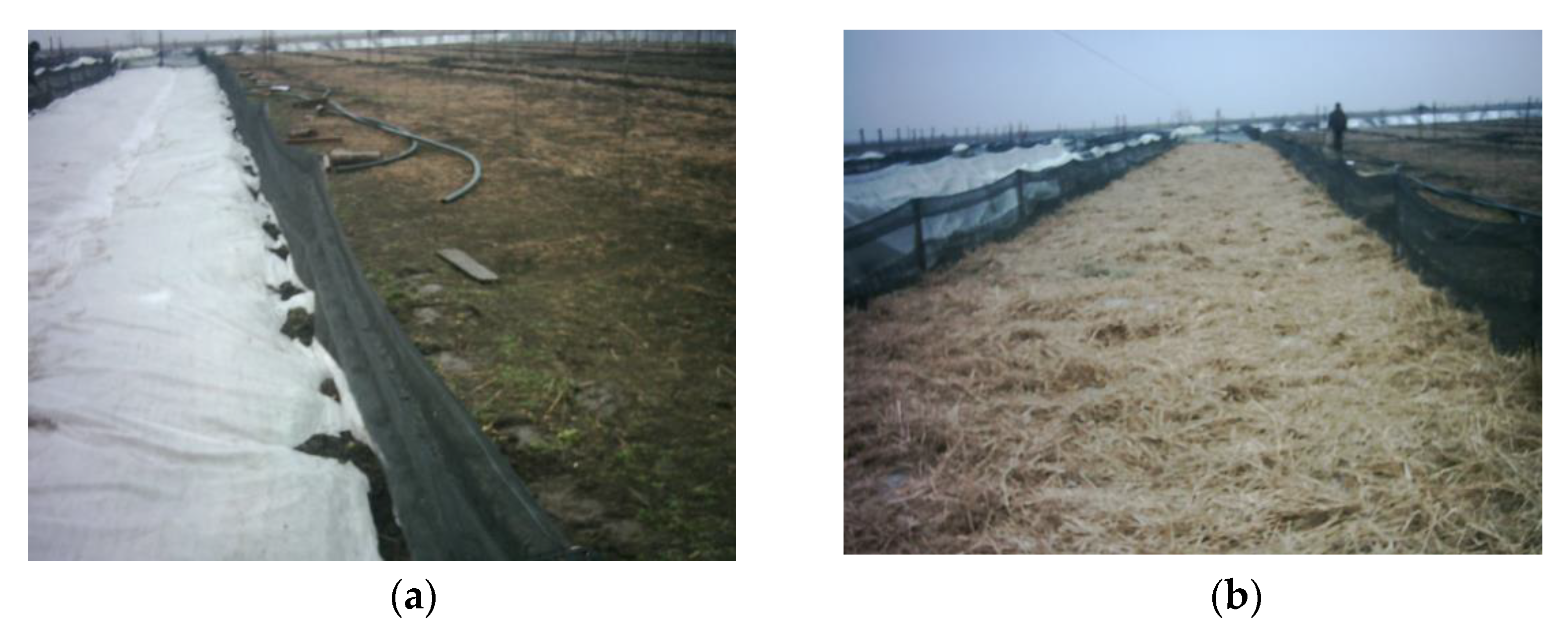 Animals 11 01420 g002a